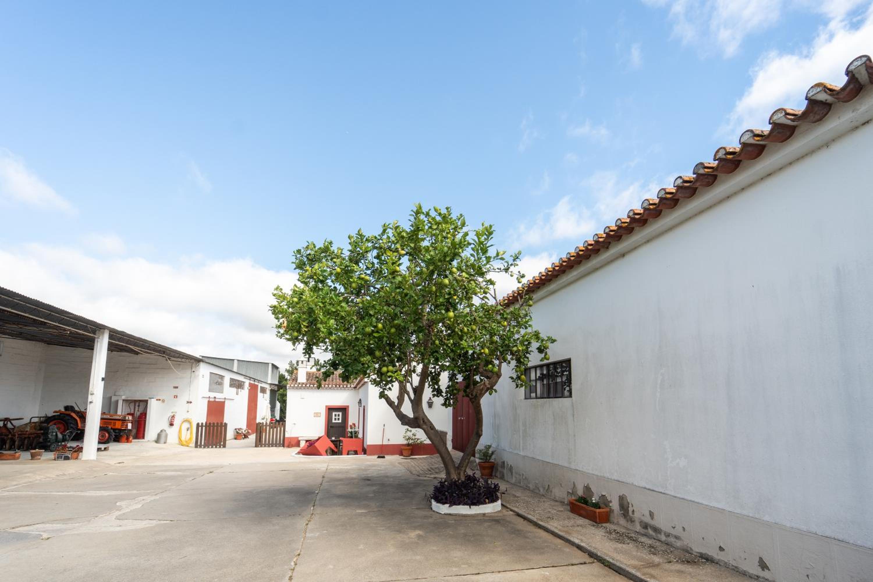 Quinta do lagar view 5