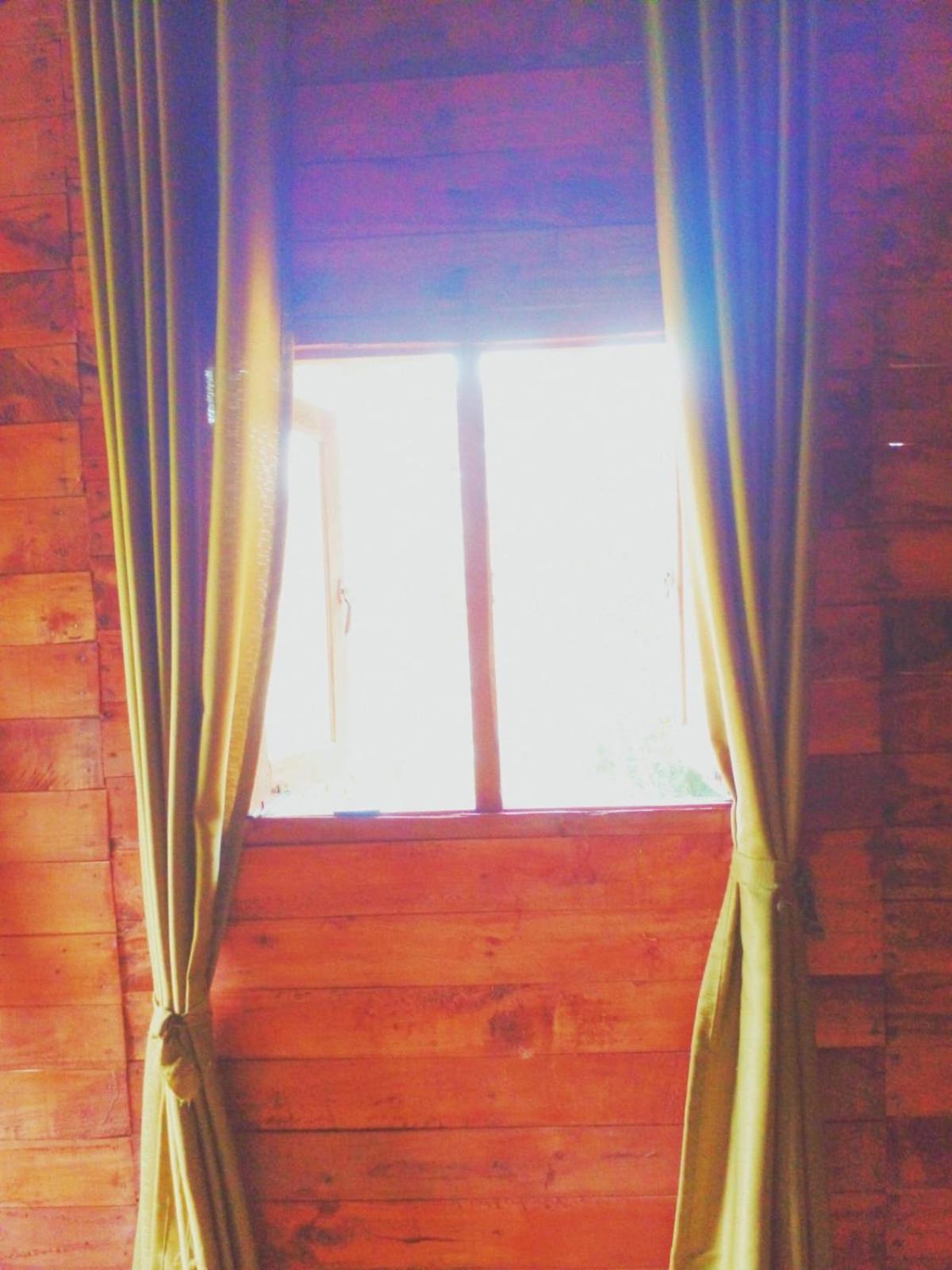 Woodland Hideaway in Sinharaja