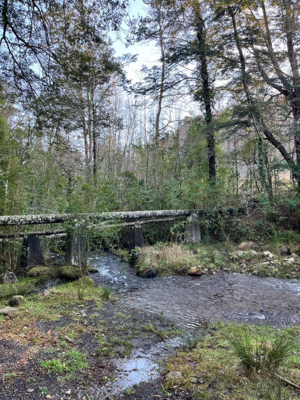Cabaña el Manzano