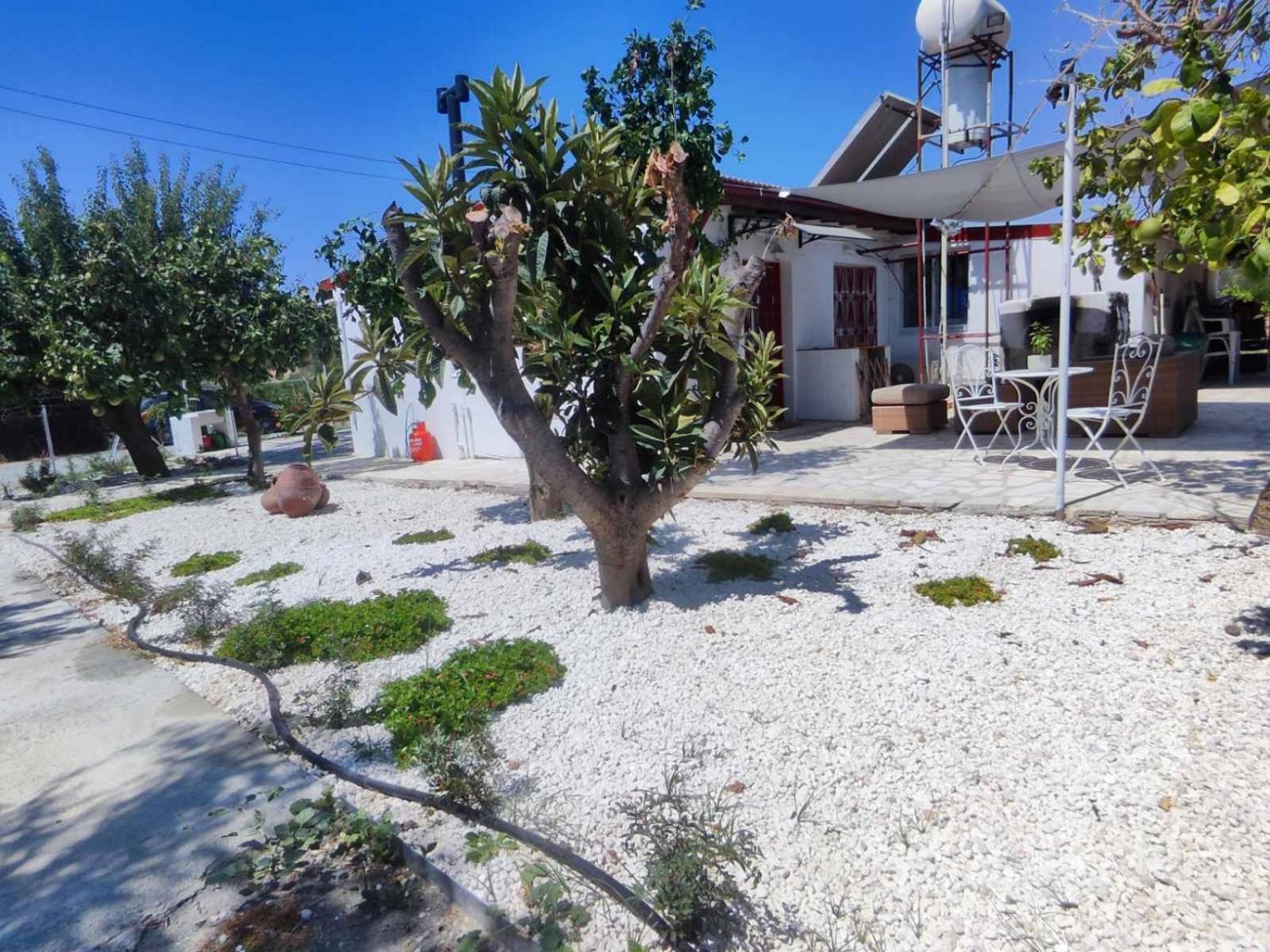 The OliveOrange Grove House!
