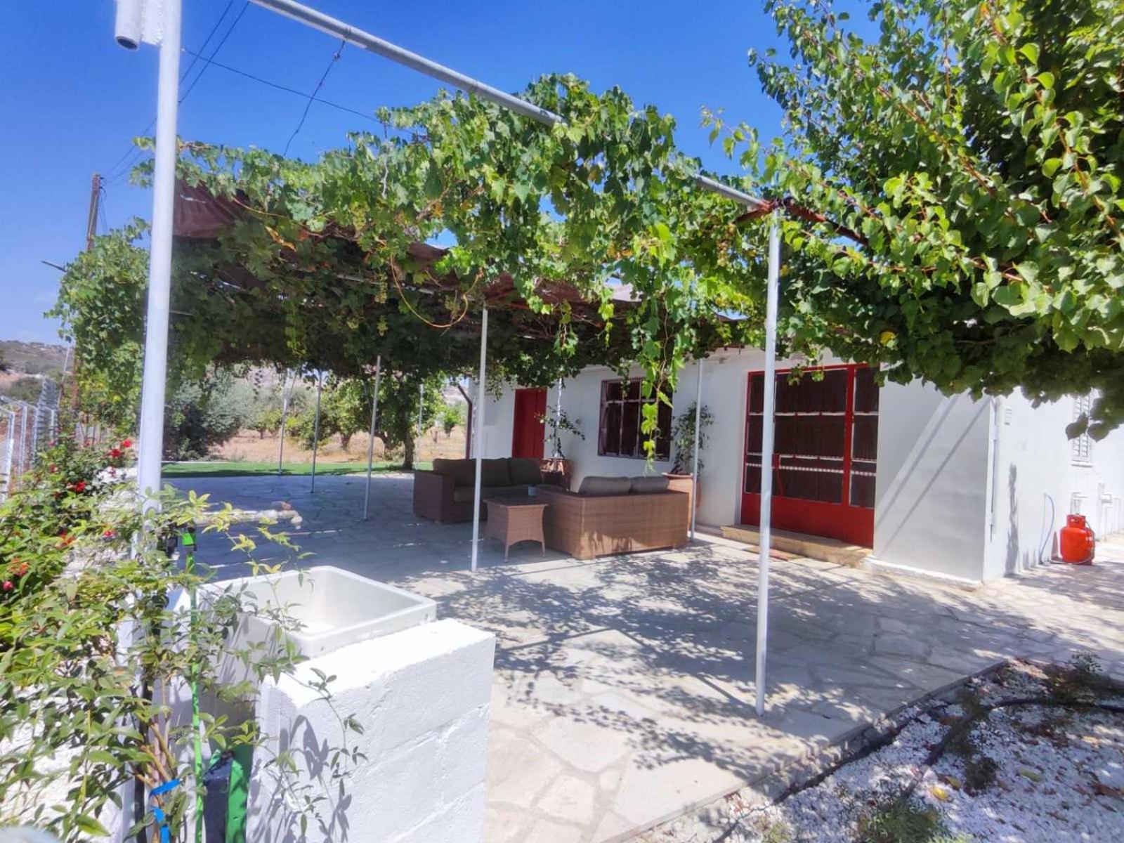 The OliveOrange Grove House!