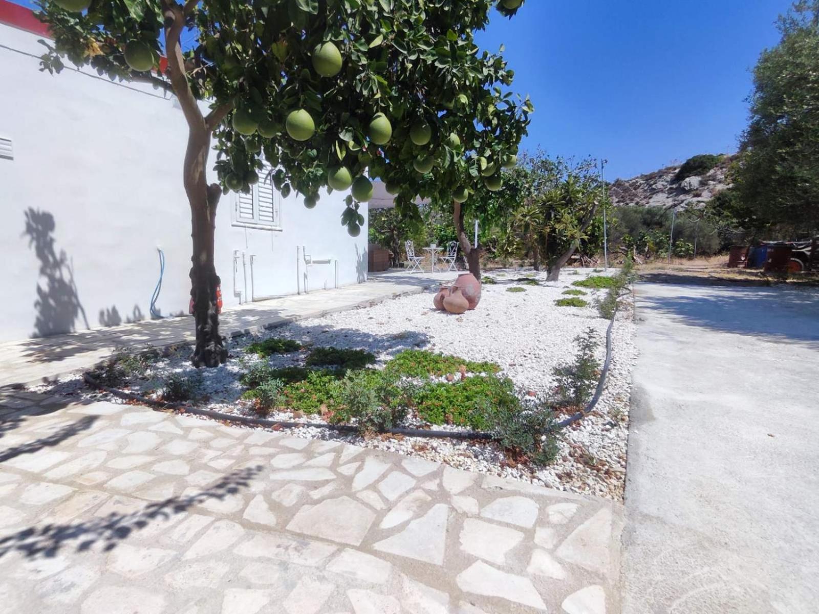 The OliveOrange Grove House!