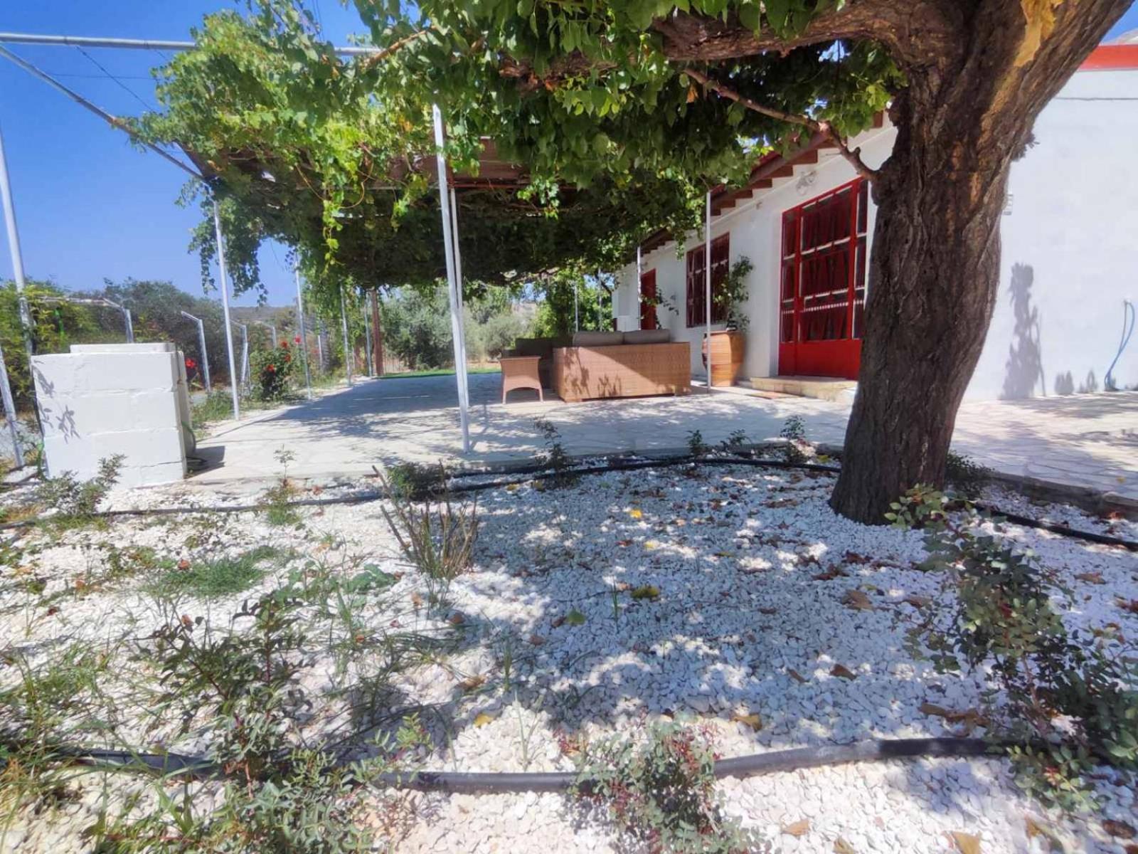 The OliveOrange Grove House!