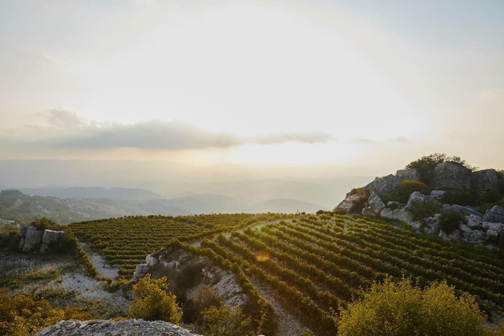 The Wine House - Panoramic views Stunning sunsets
