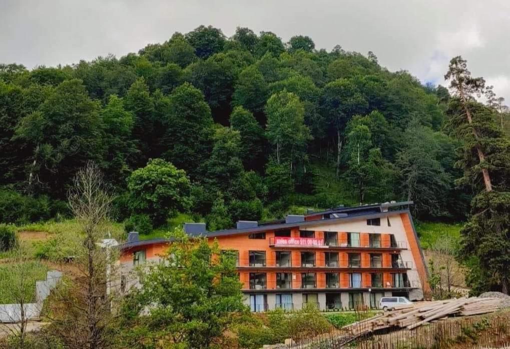 Ninias Casa Bakuriani