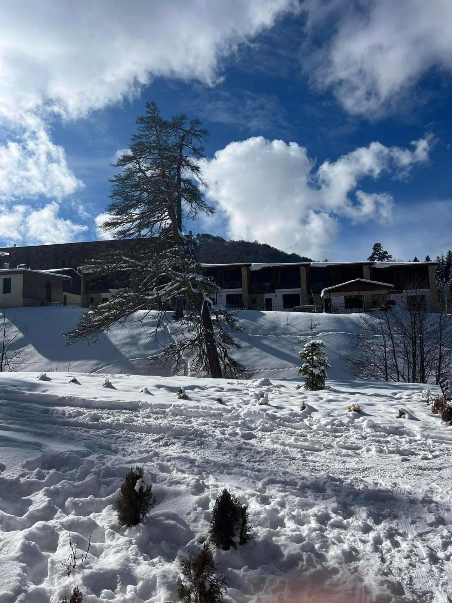 Ninias Casa Bakuriani