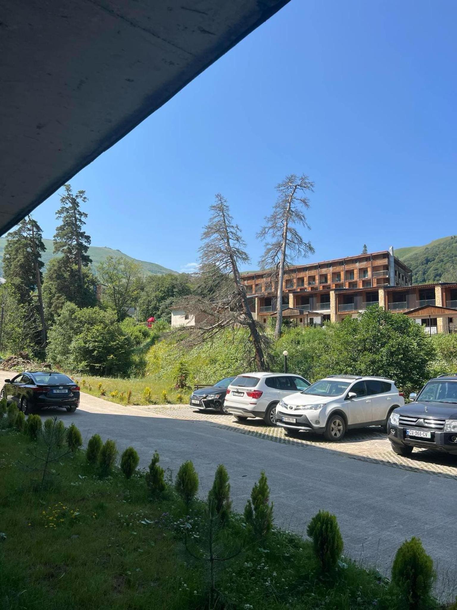 Ninias Casa Bakuriani