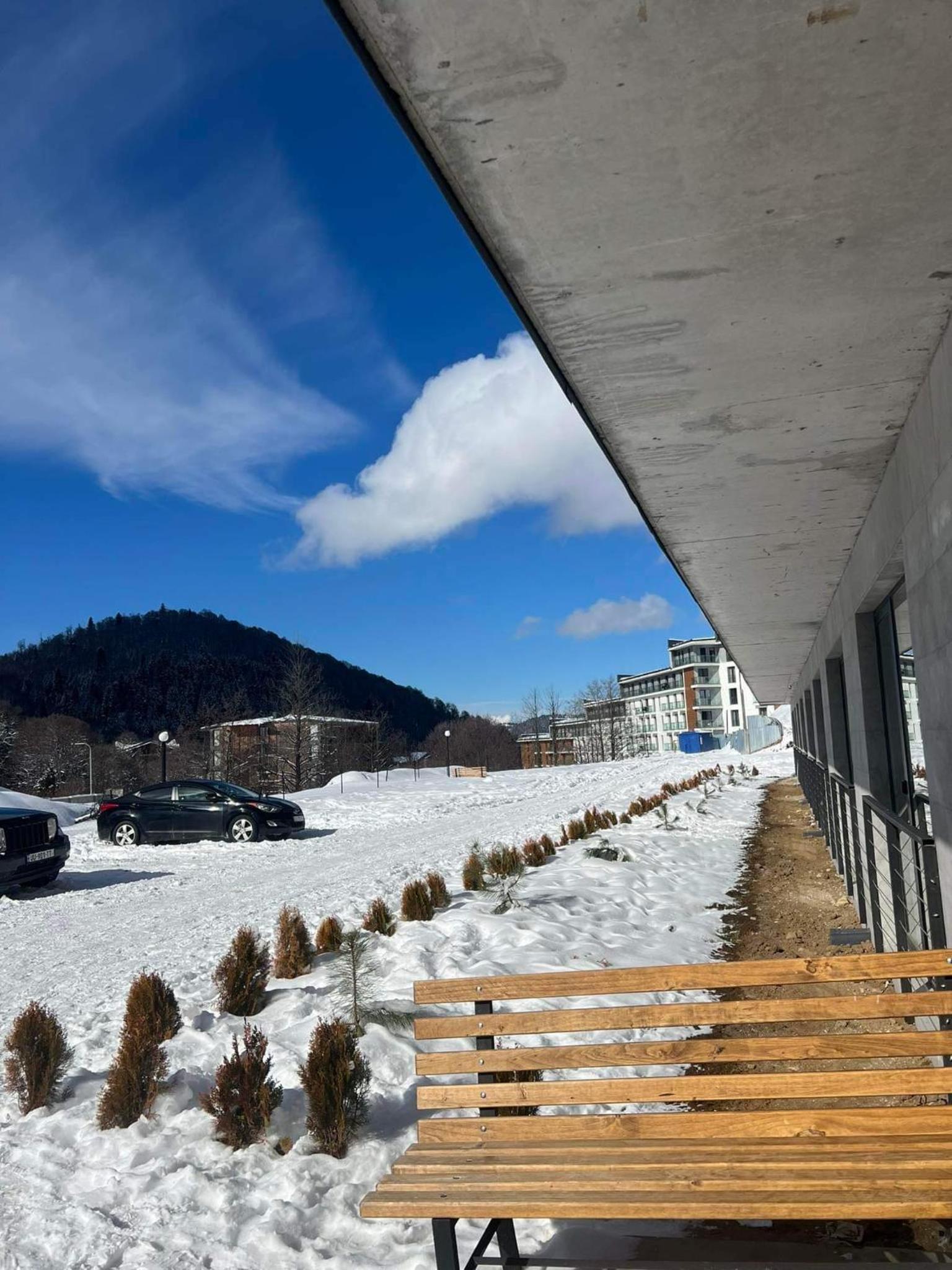 Ninias Casa Bakuriani