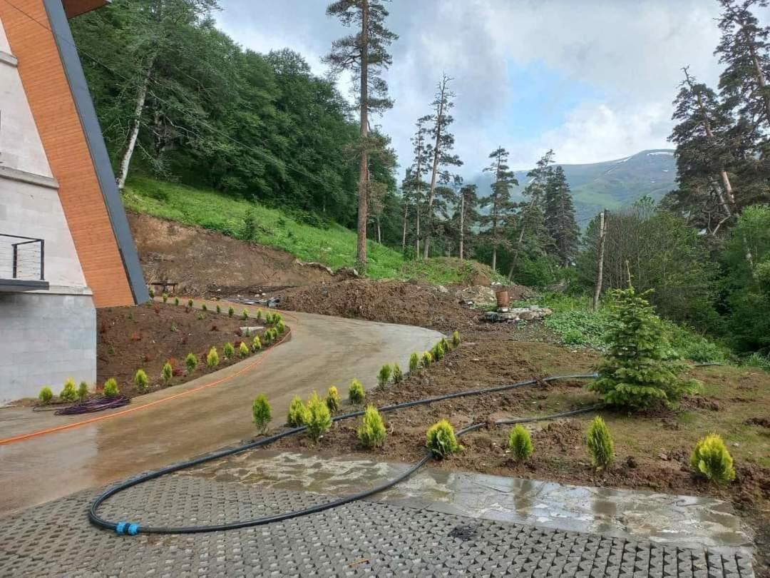 Ninias Casa Bakuriani