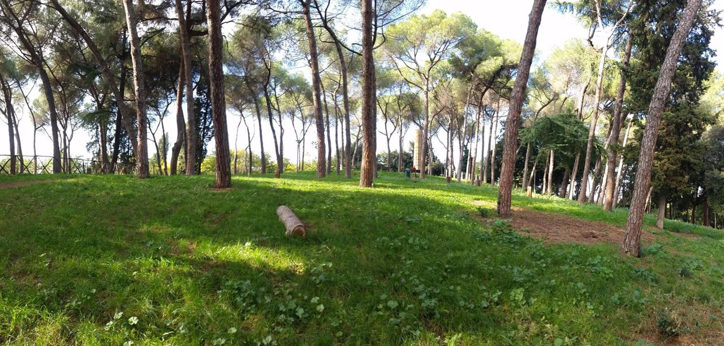 Holiday Home Roma