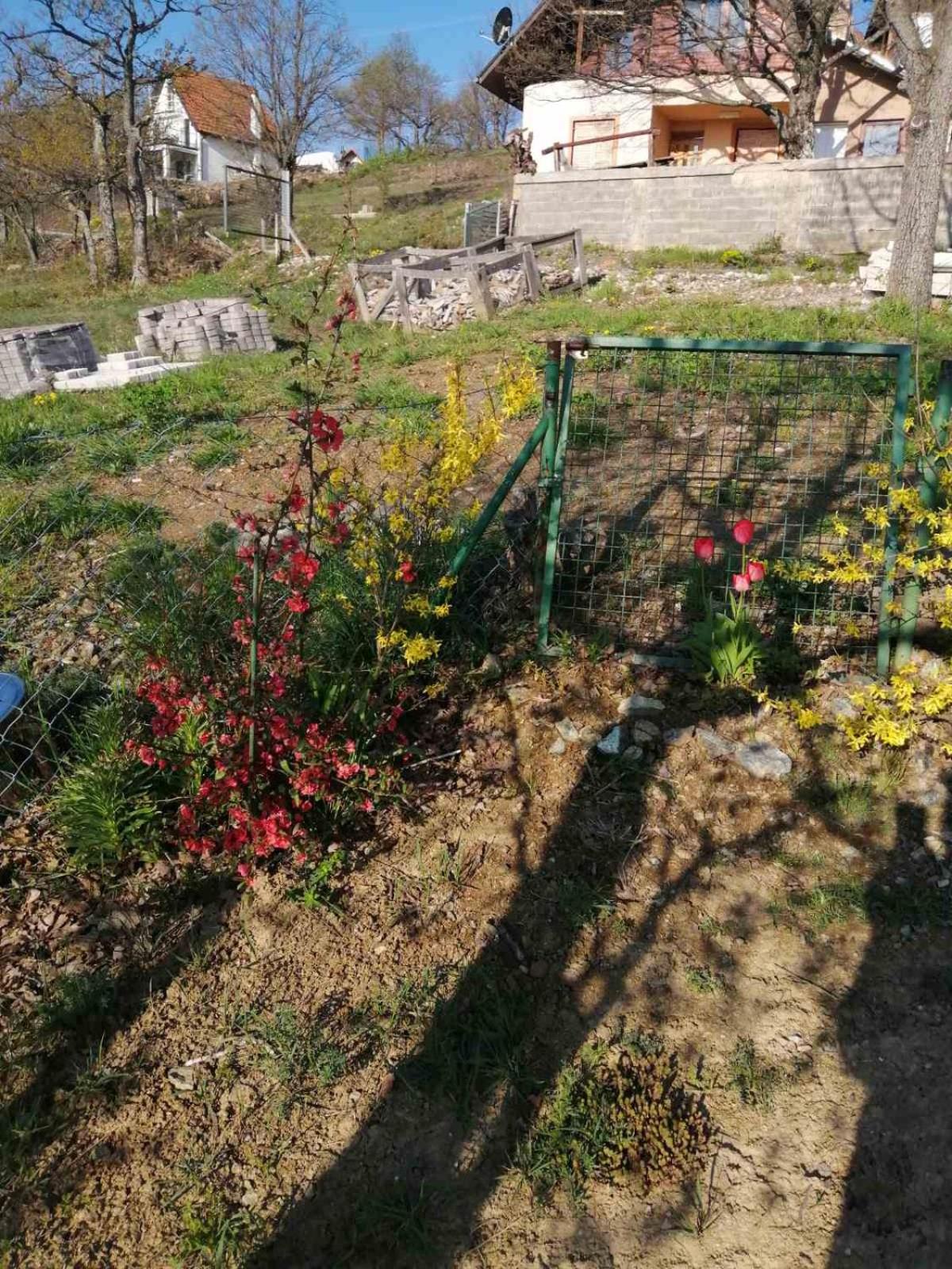 Photo 6