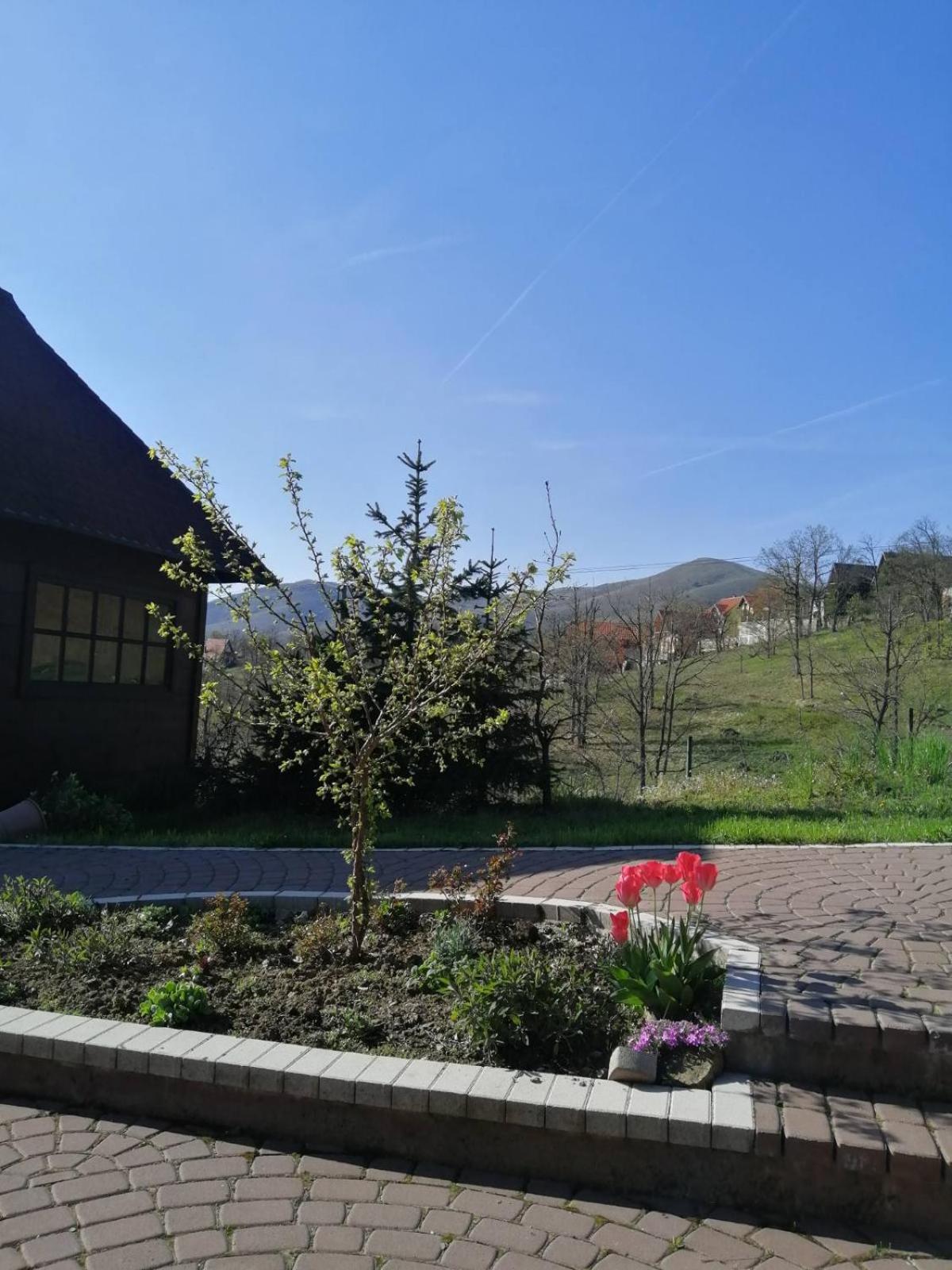 Photo 13