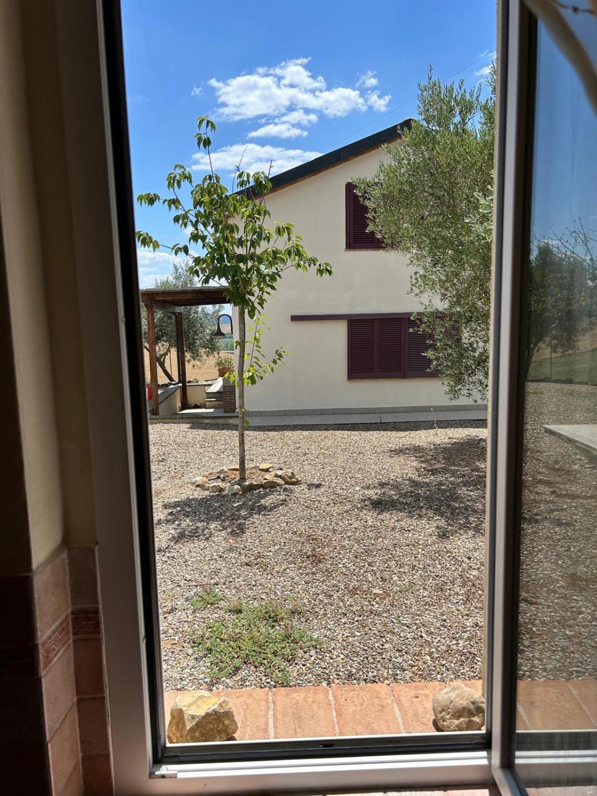 Photo 28