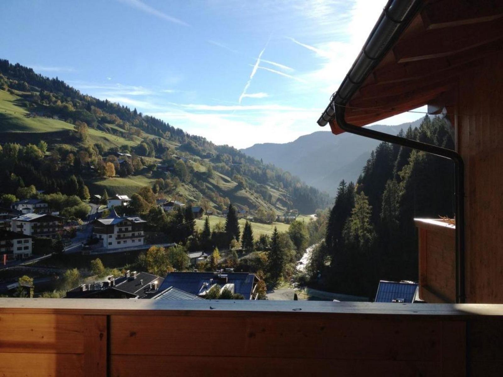 Alpen Resort Saalbach D4