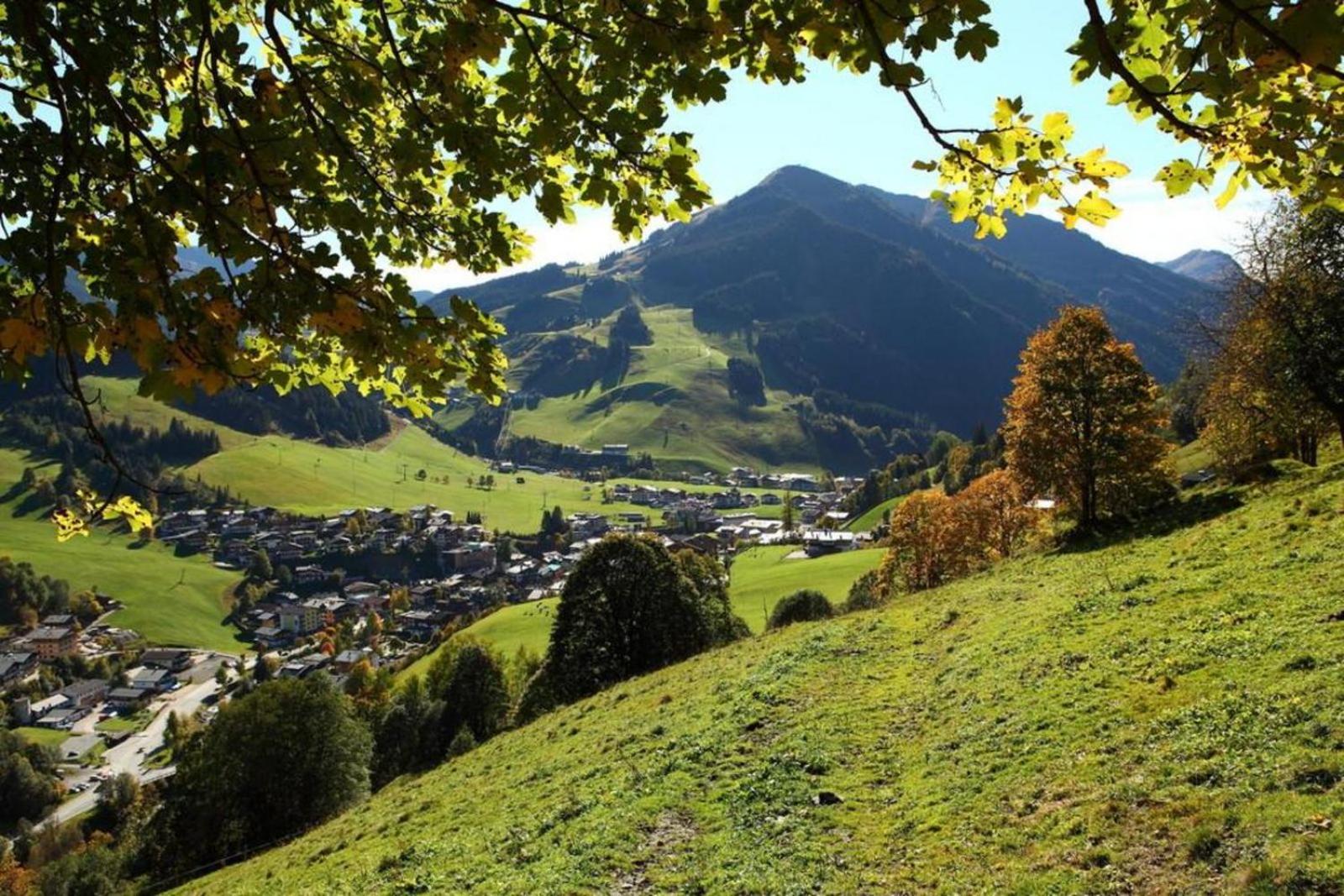 Alpen Resort Saalbach D4