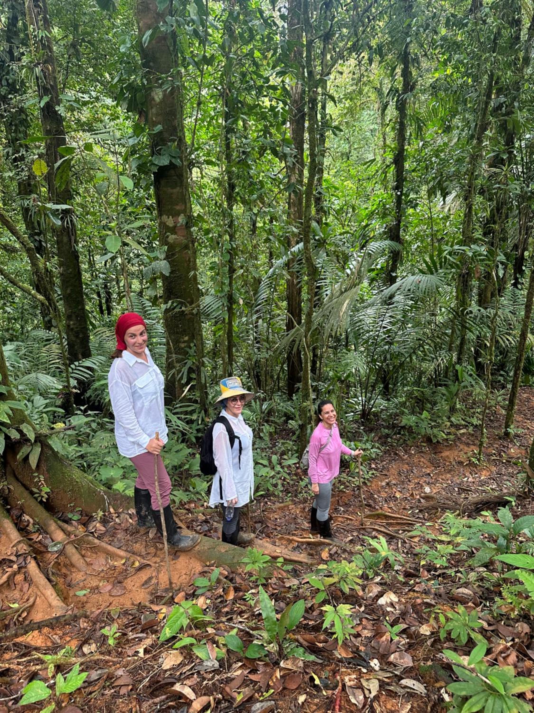 Madre Selva Eco Lodge