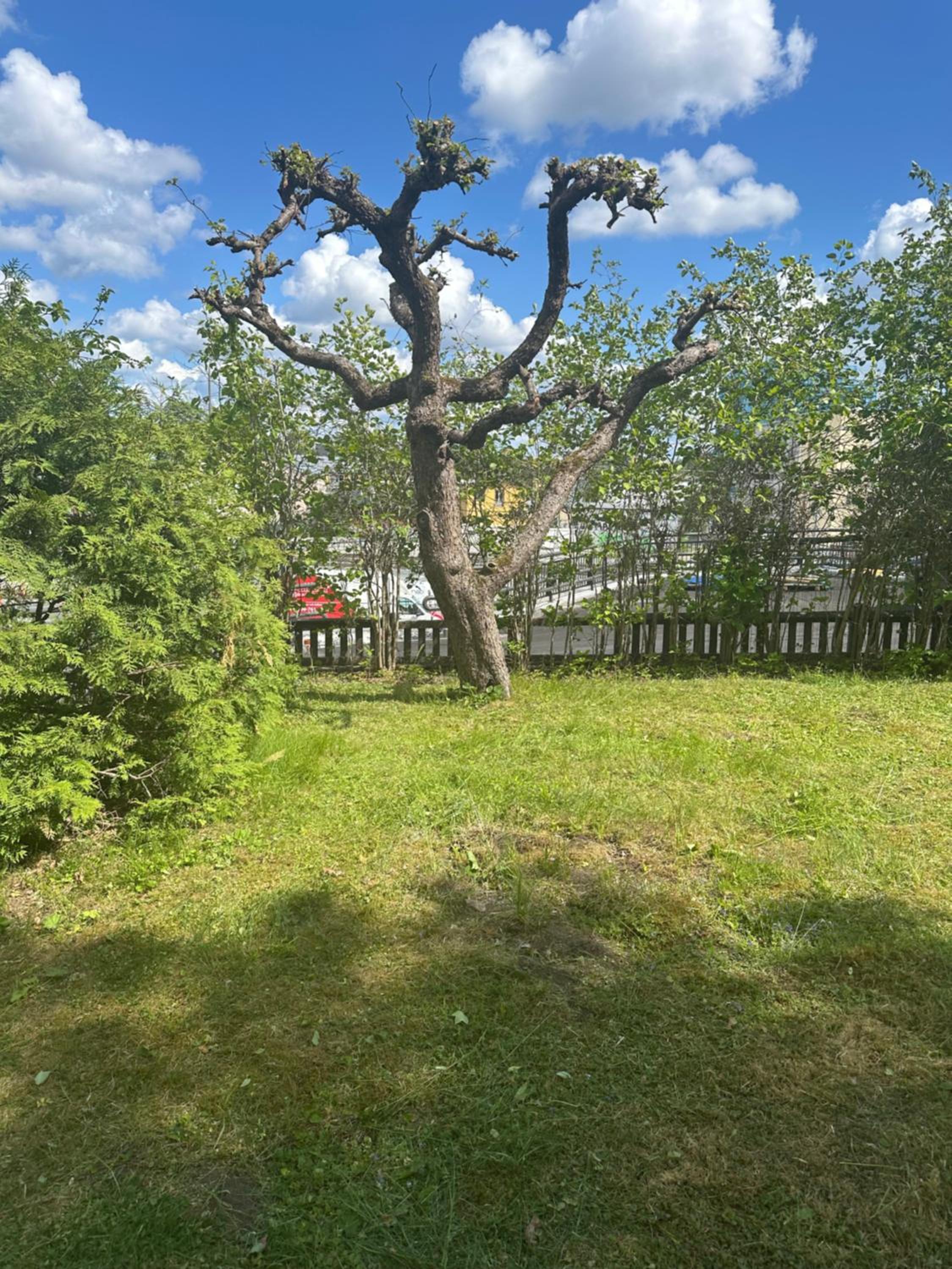 Nordic Central Villa