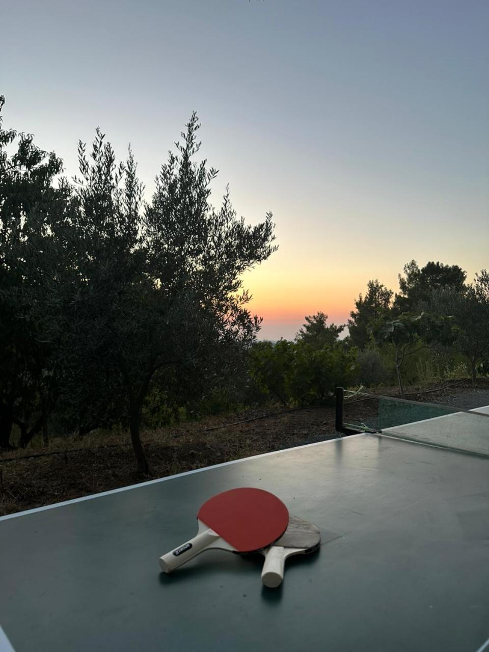 Fikardou Chalets