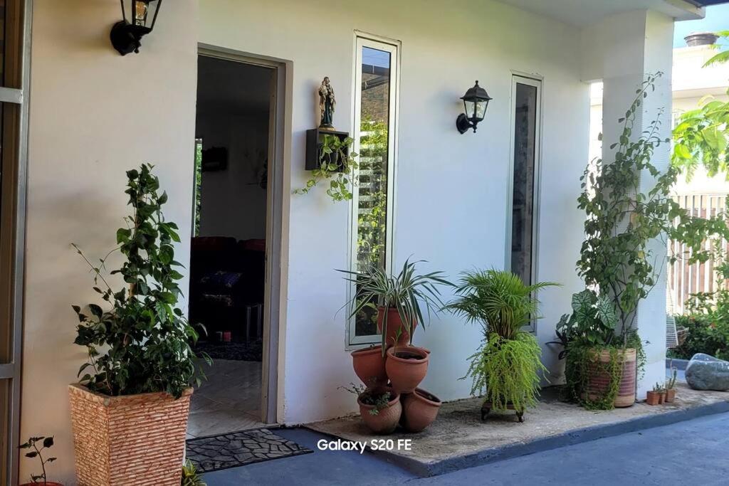 Jardin Inmaculada