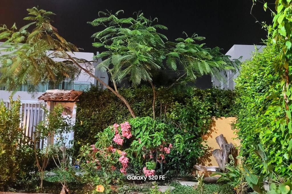 Jardin Inmaculada