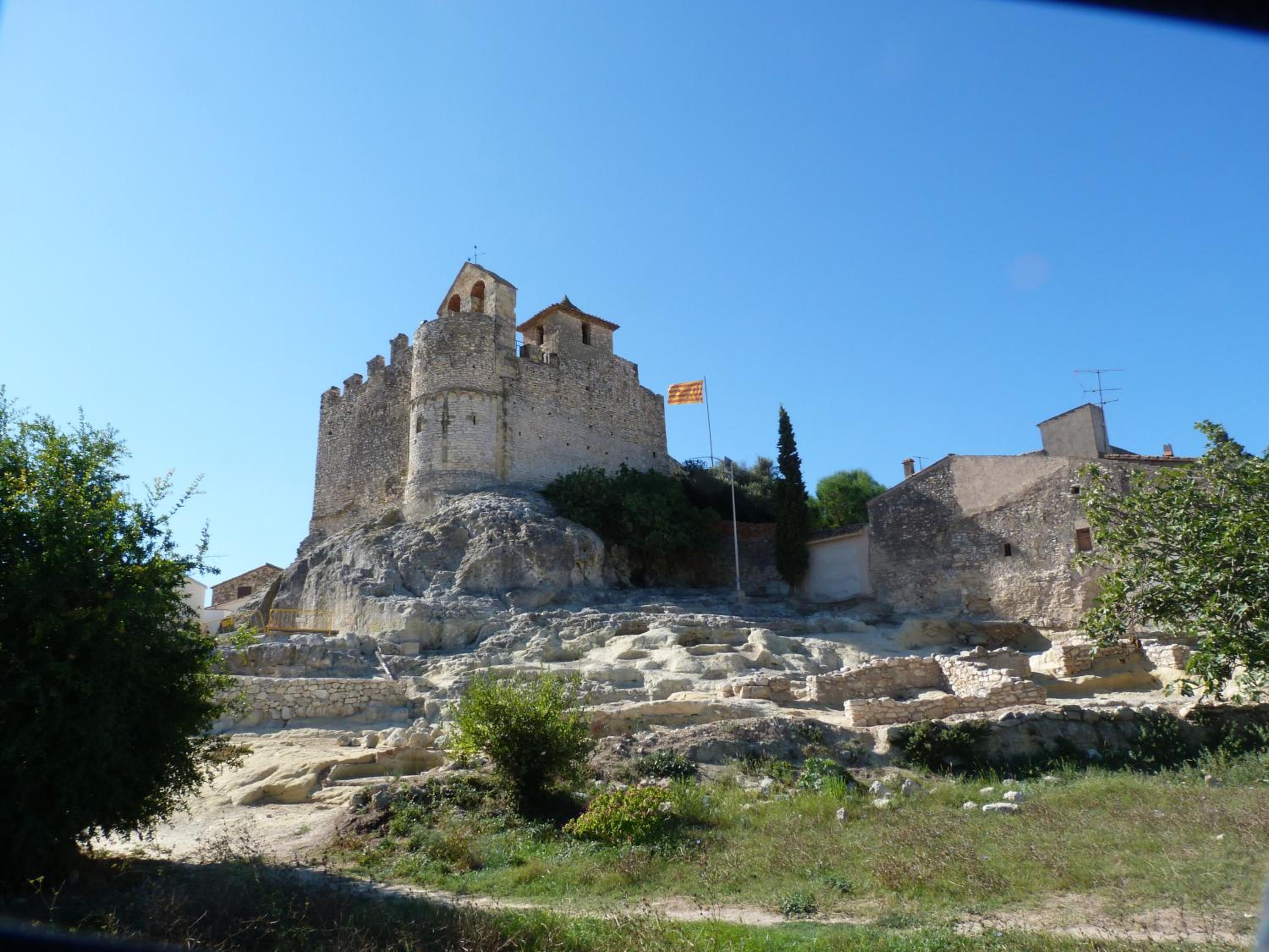 Photo 7