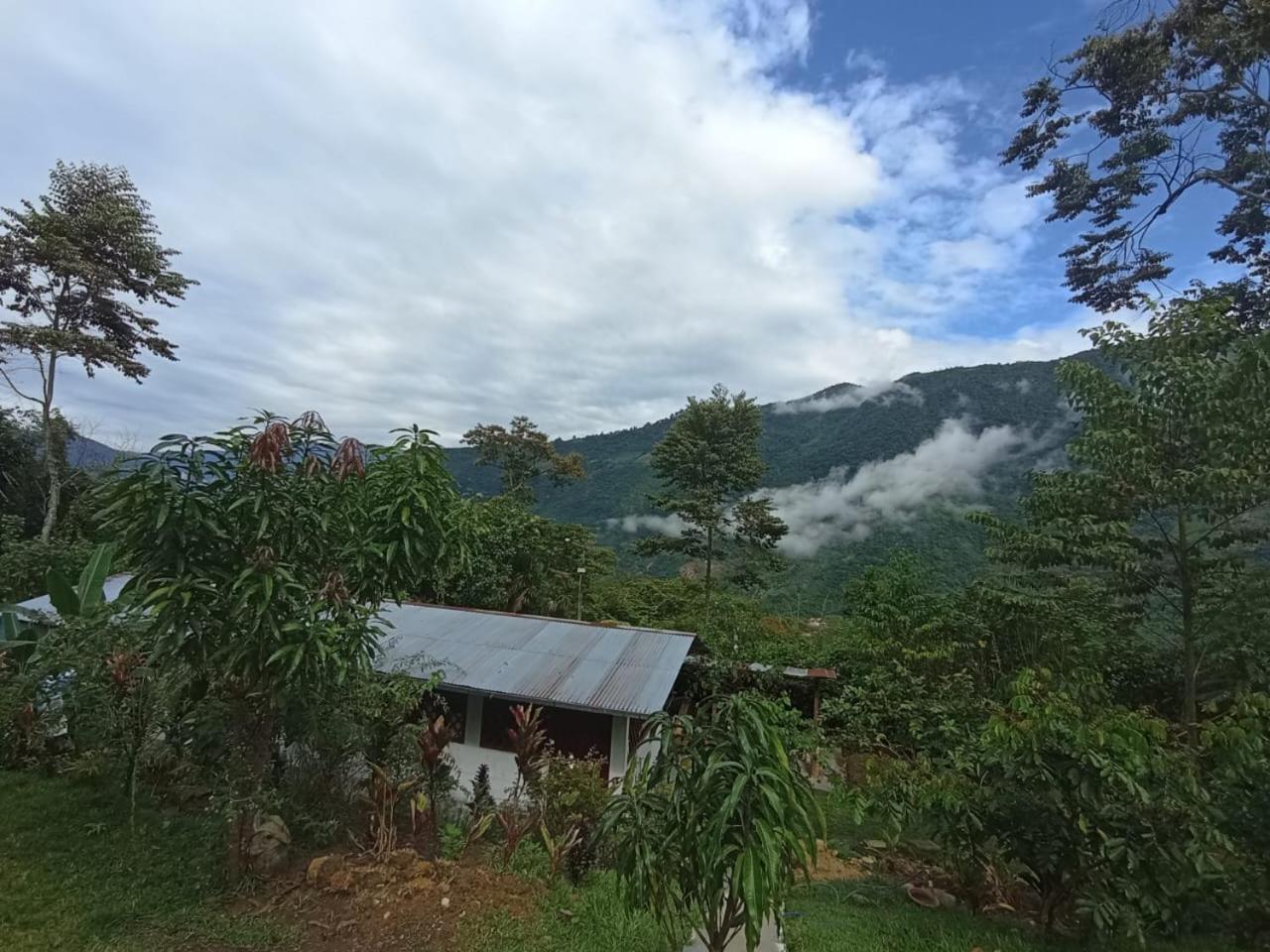 La Bonita