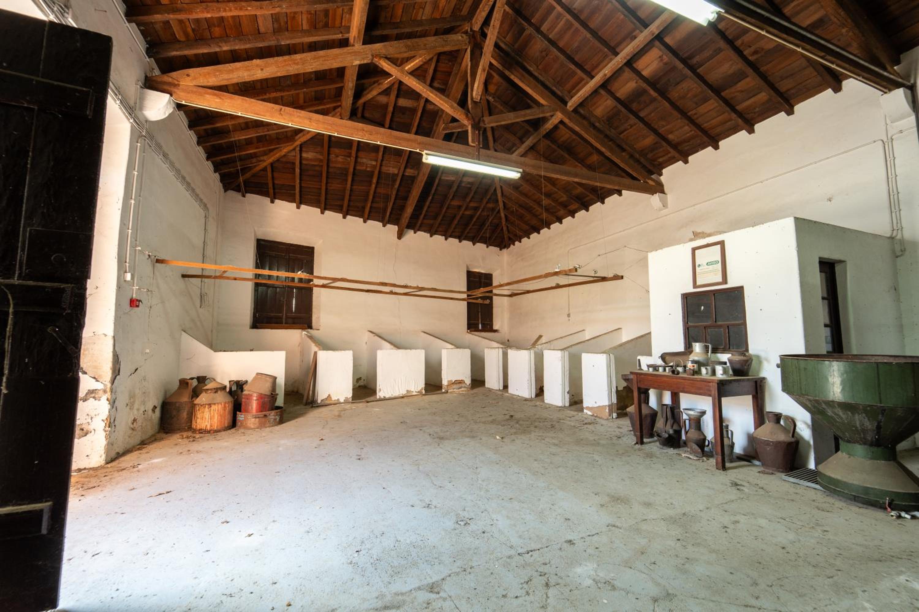 Photo 58