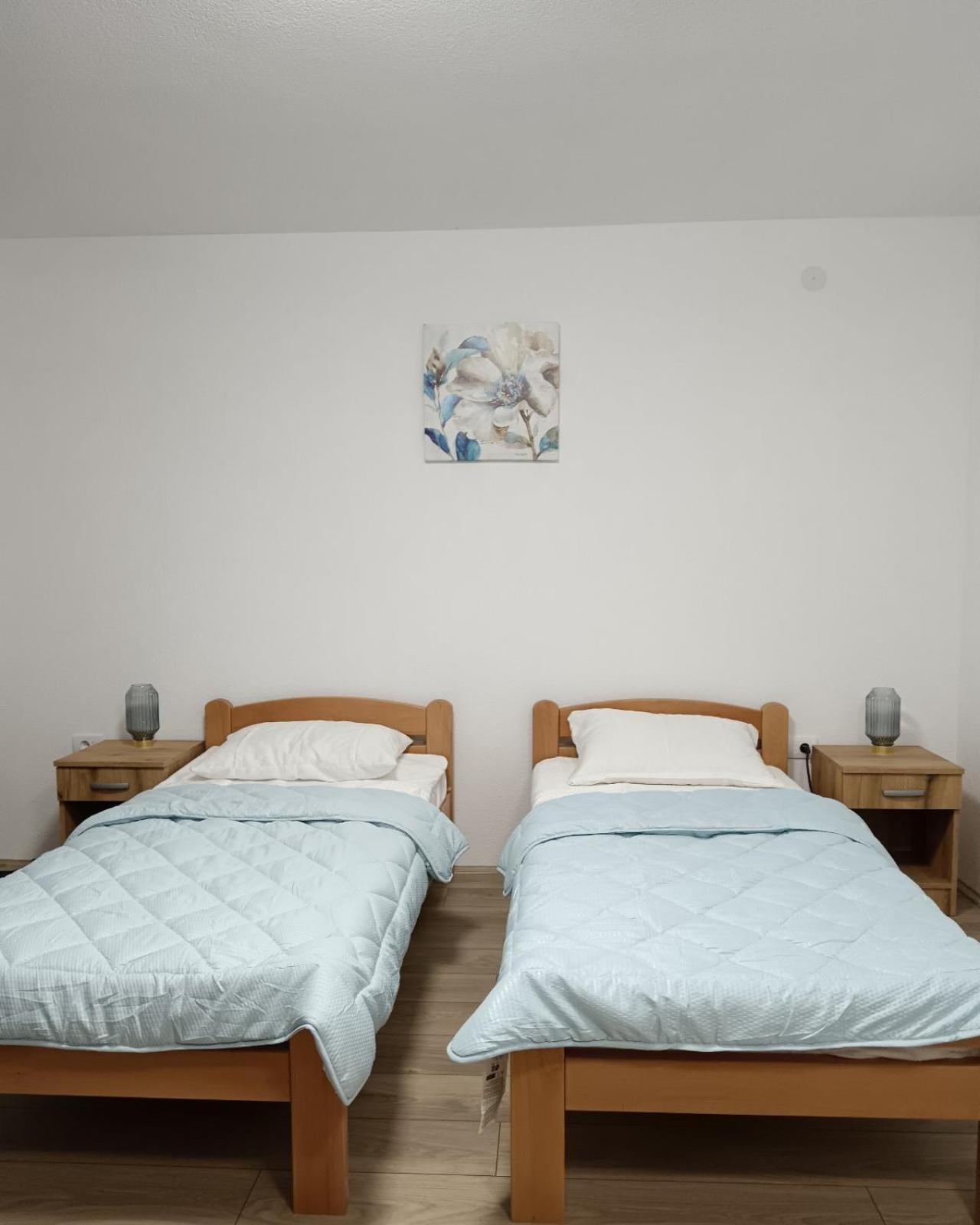Apartmani Smiljković90 view 3