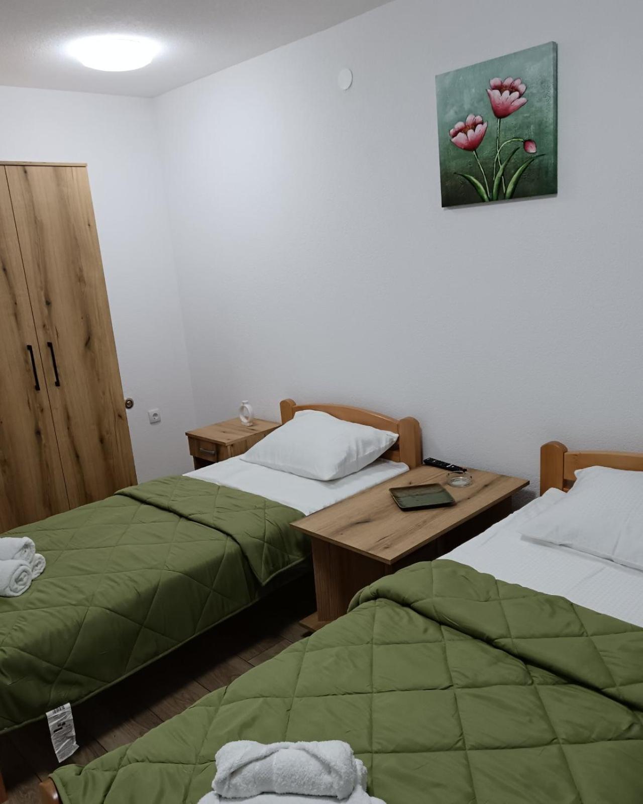 Apartmani Smiljković90 view 2