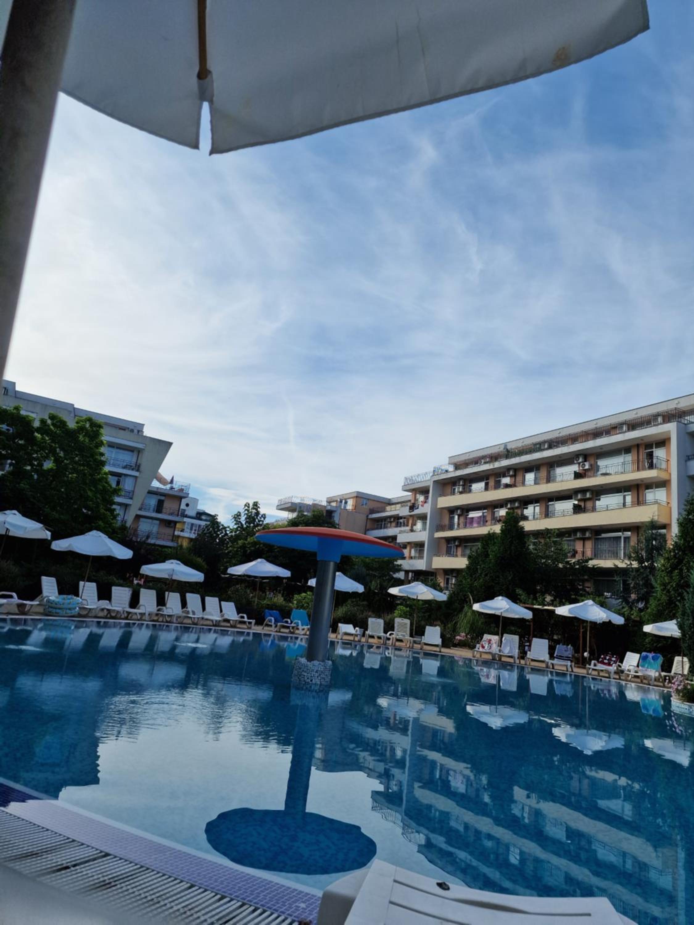 Grand Kamelia