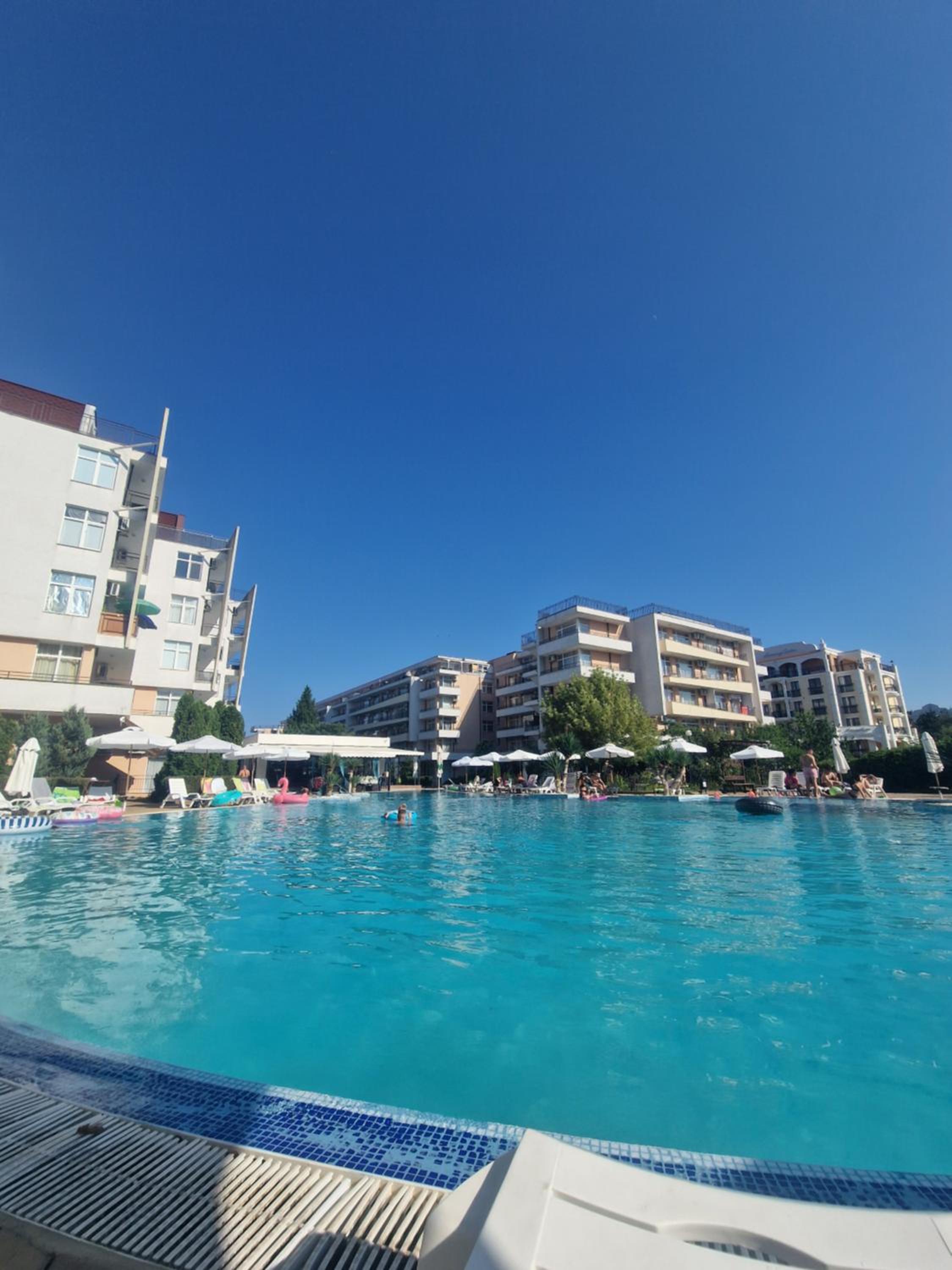 Grand Kamelia