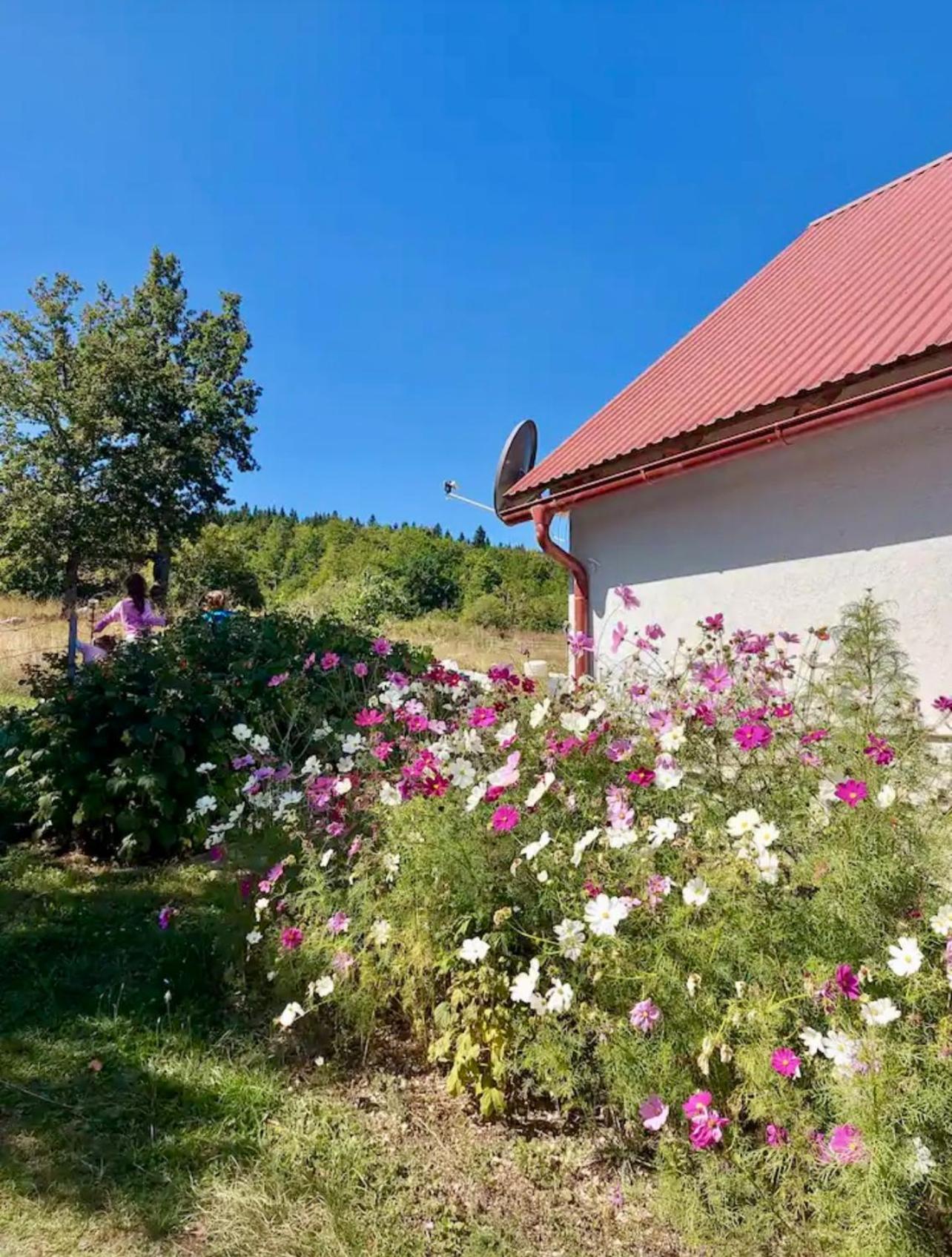 Planinska kuca
