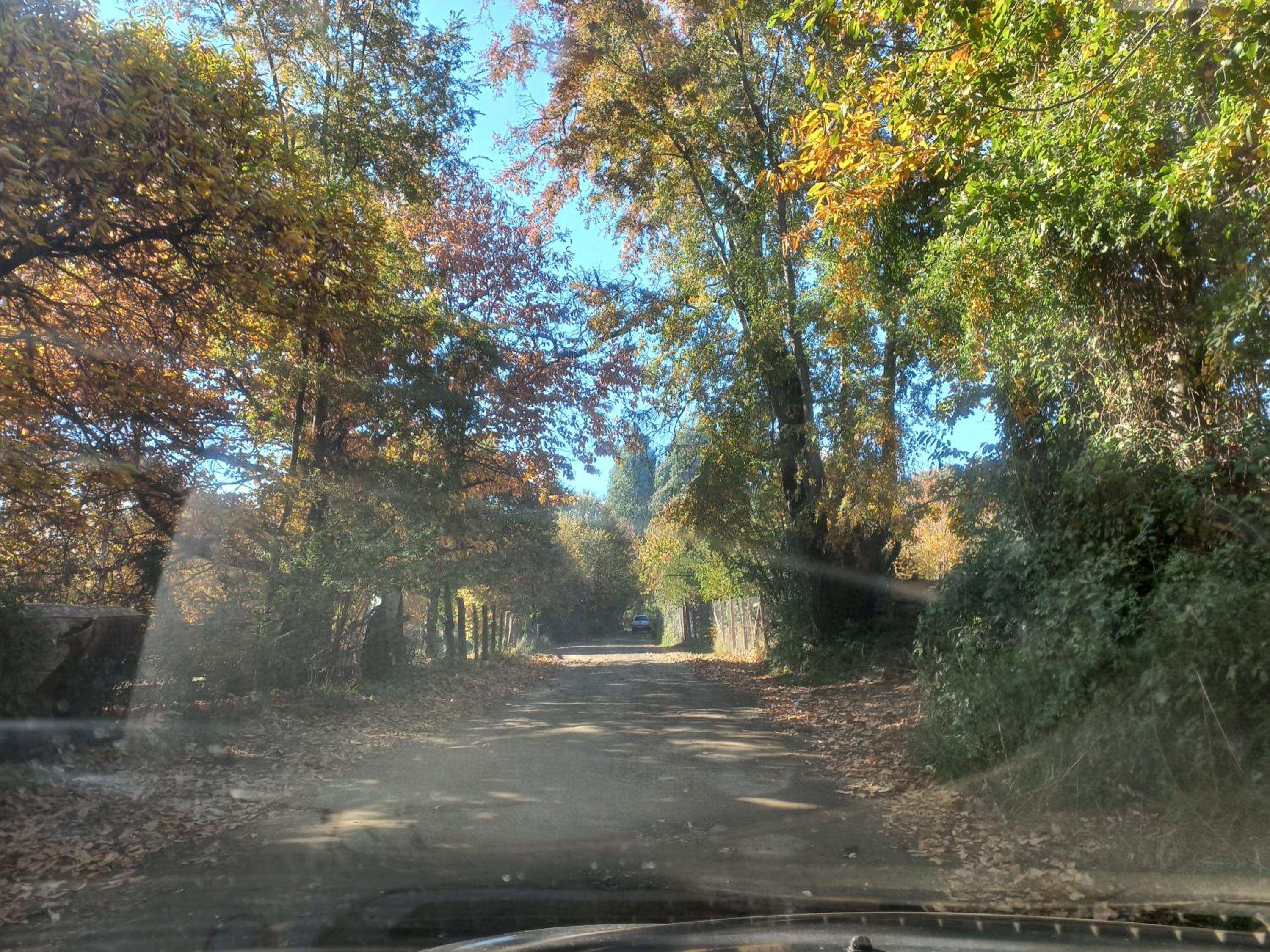Refugio Gaia
