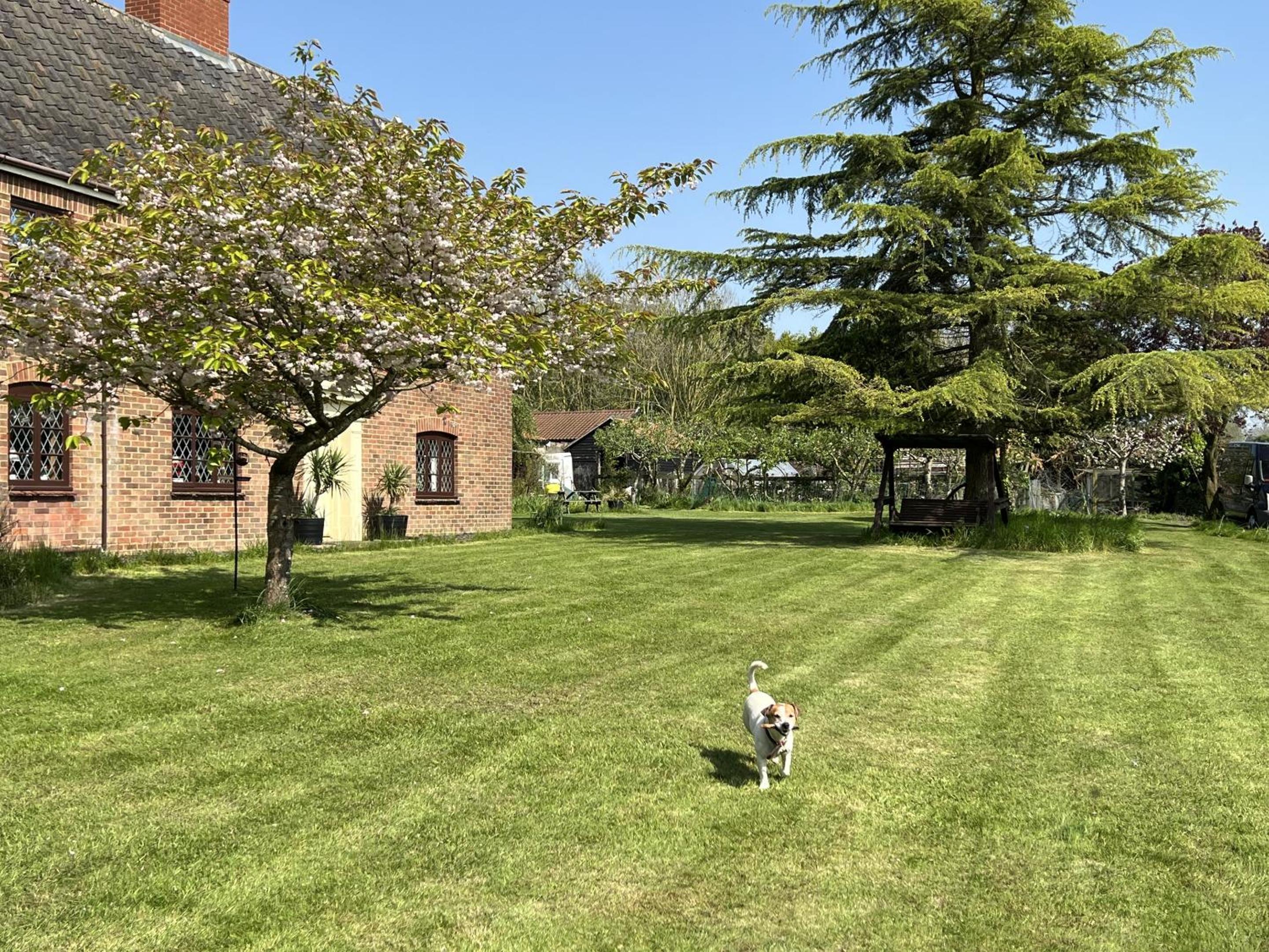Photo 19