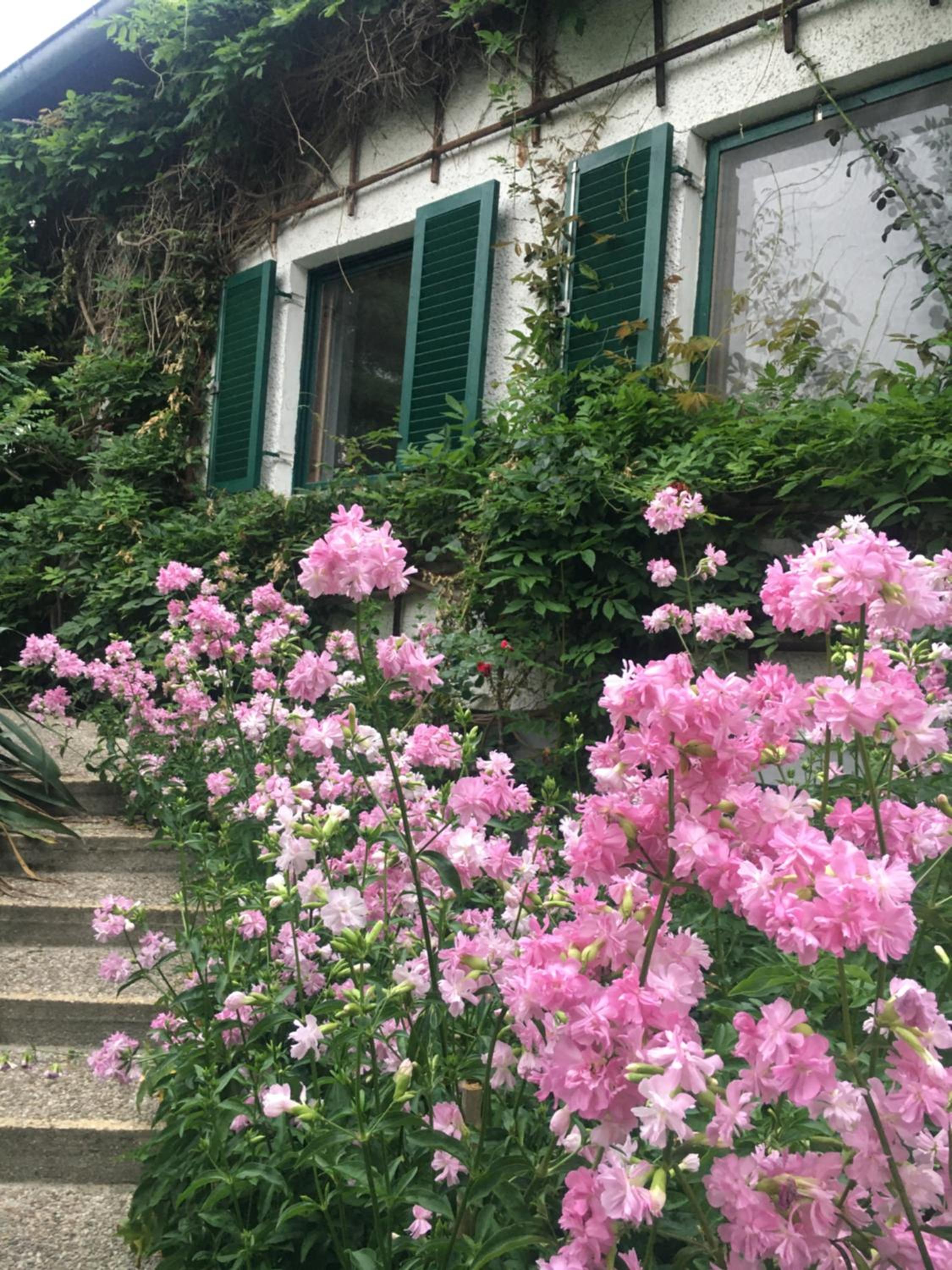 Bungalow mit Charme