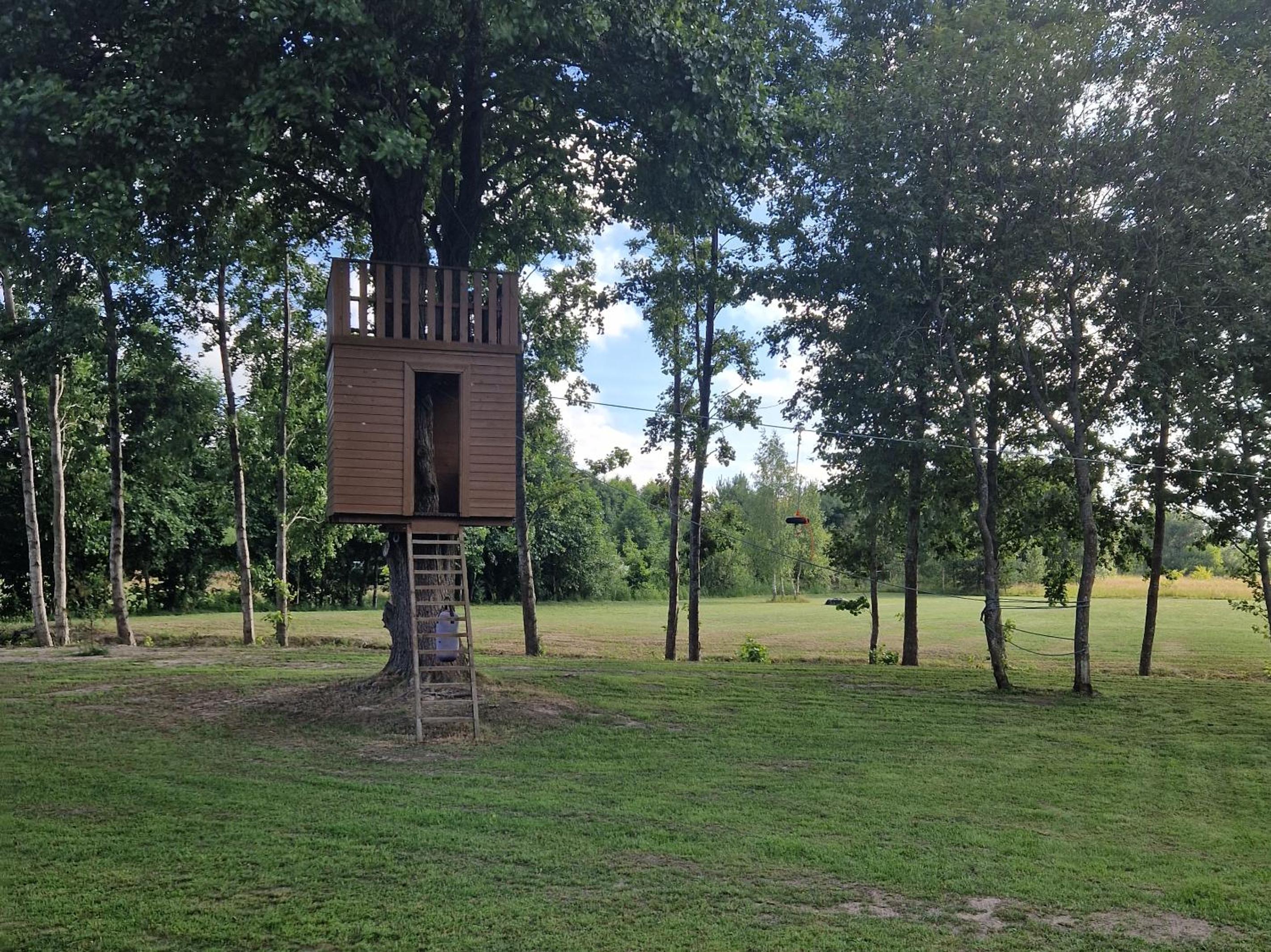 Jaunmāriņi