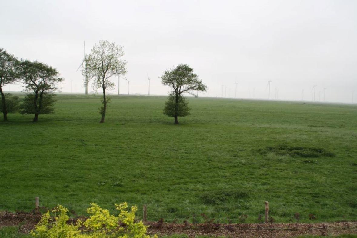 Ferienwohnungen Sterdebüll-Hof