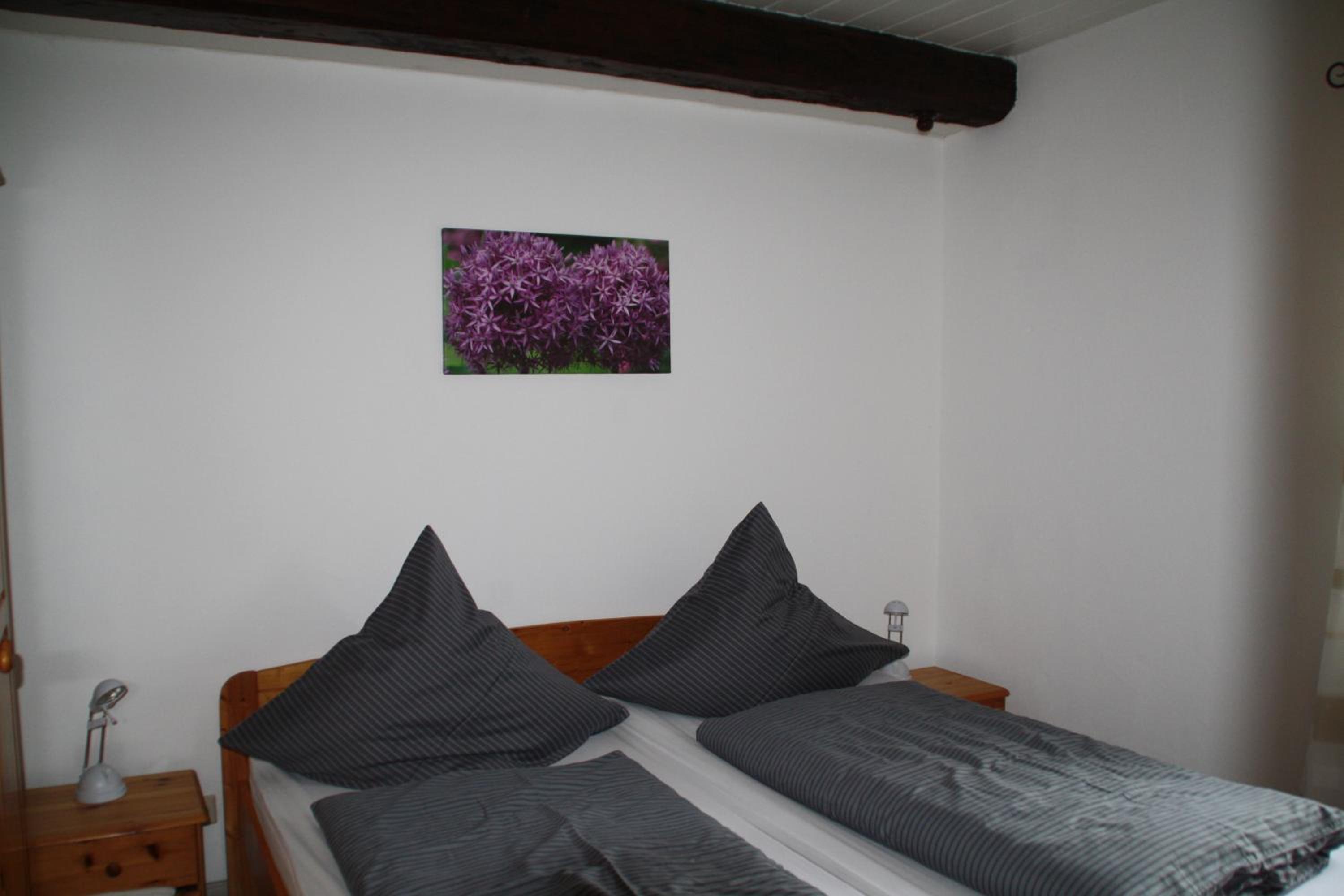 Ferienwohnungen Sterdebüll-Hof
