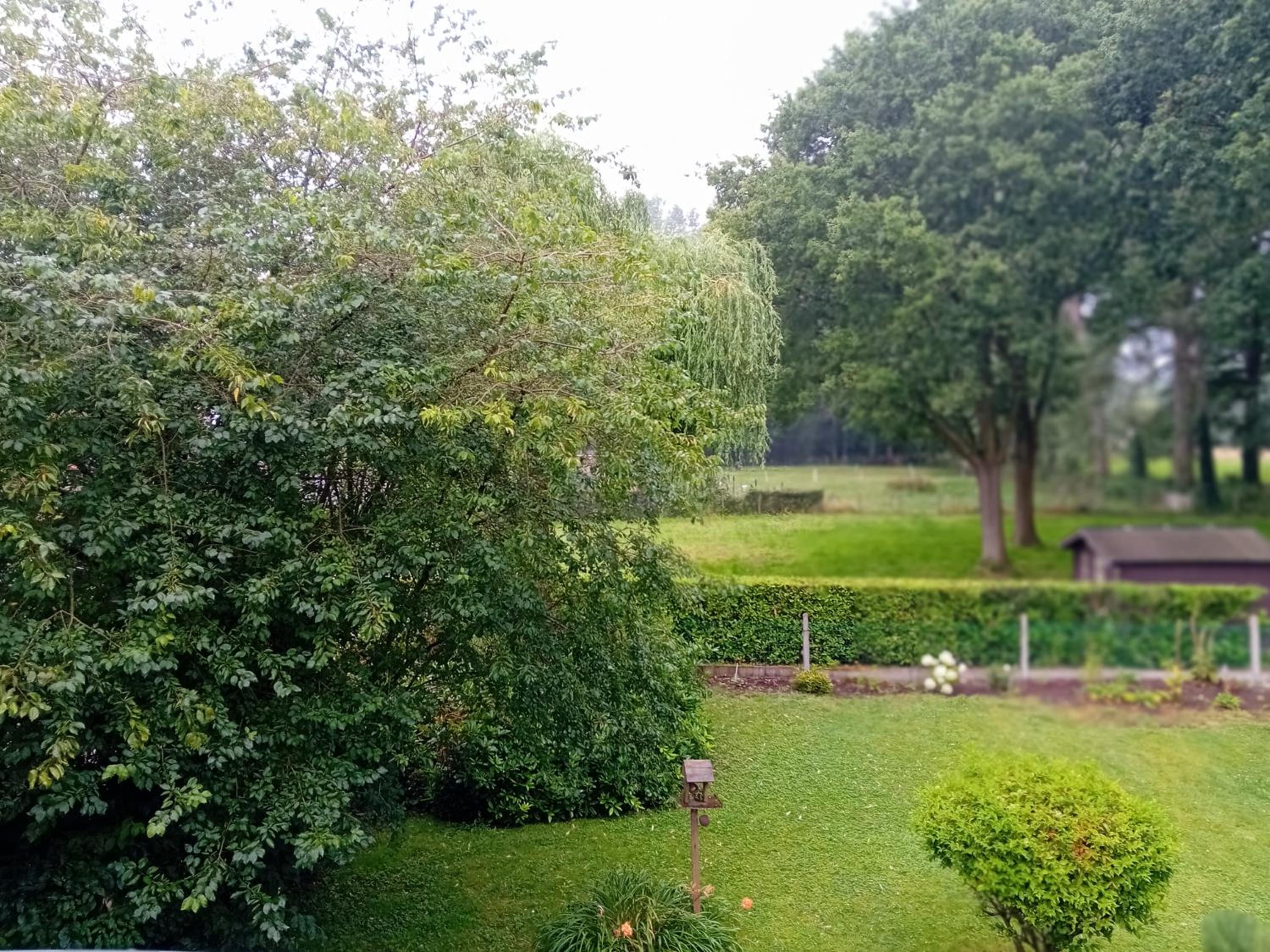 B&B Roseland