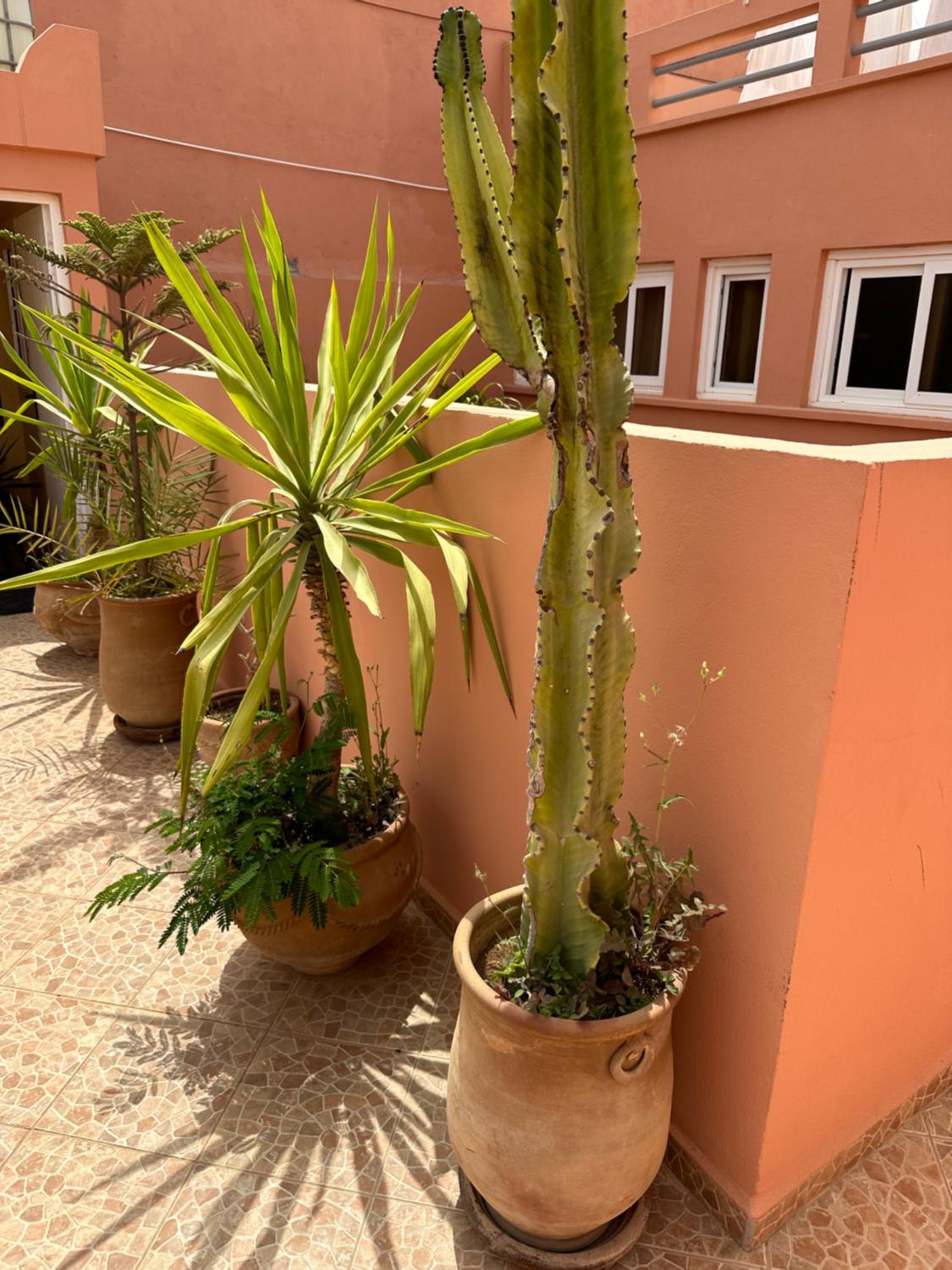 Europa mirlef t aventur Guest House