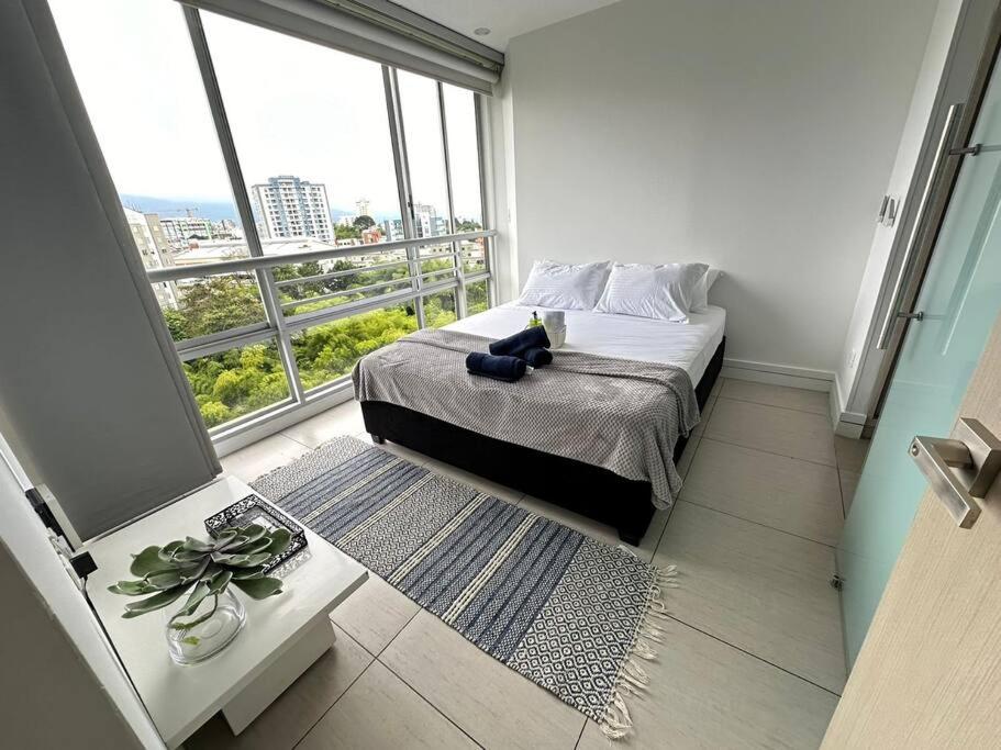 P807-Moderno apartamento en Laureles Armenia