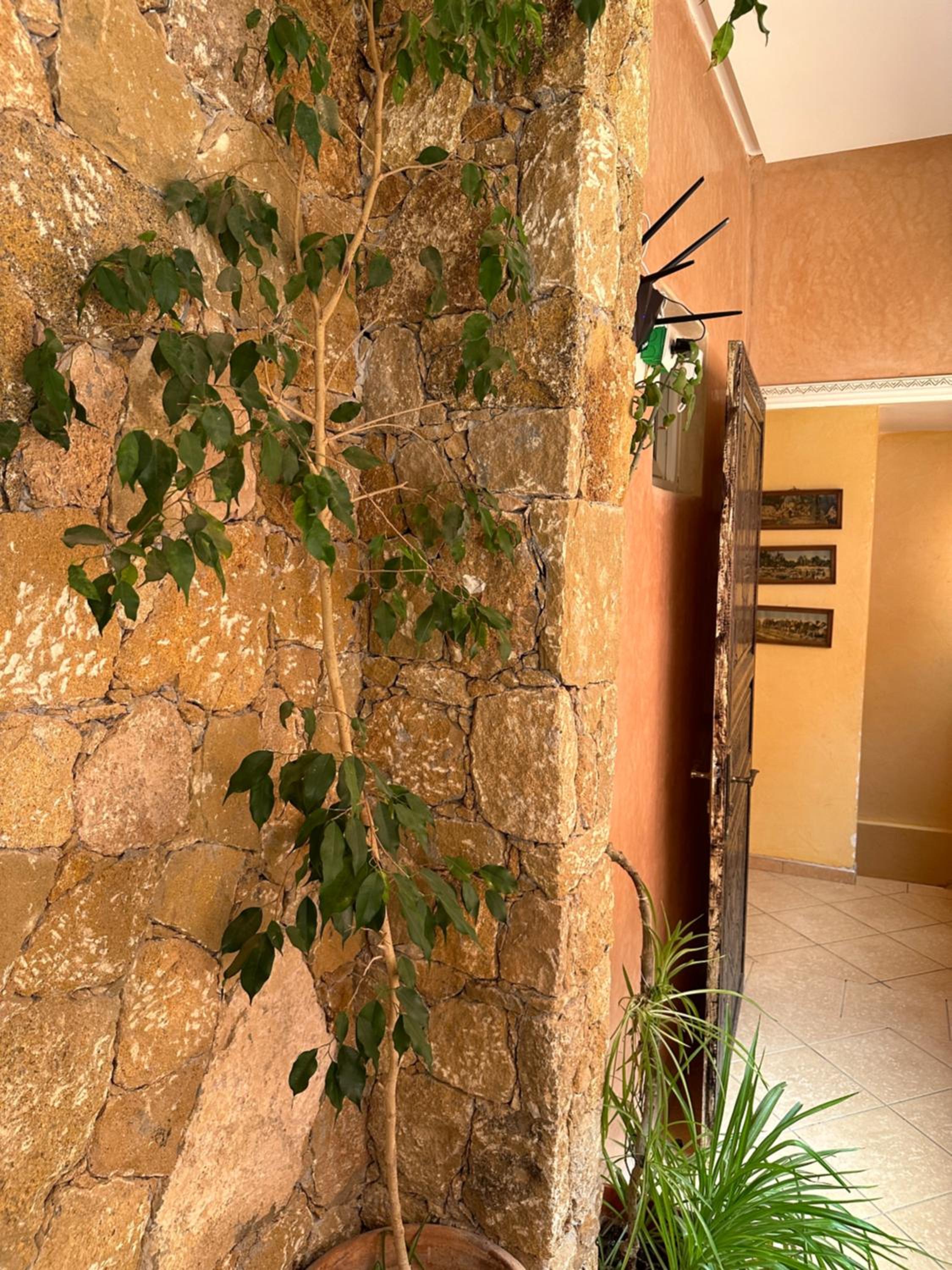 Europa mirlef t aventur Guest House