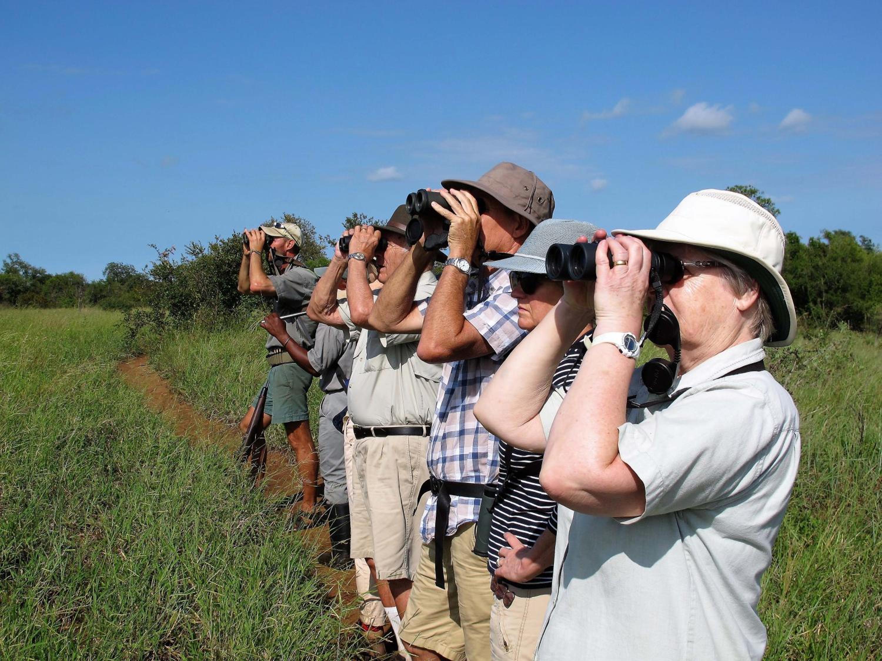 Rhino Walking Safaris