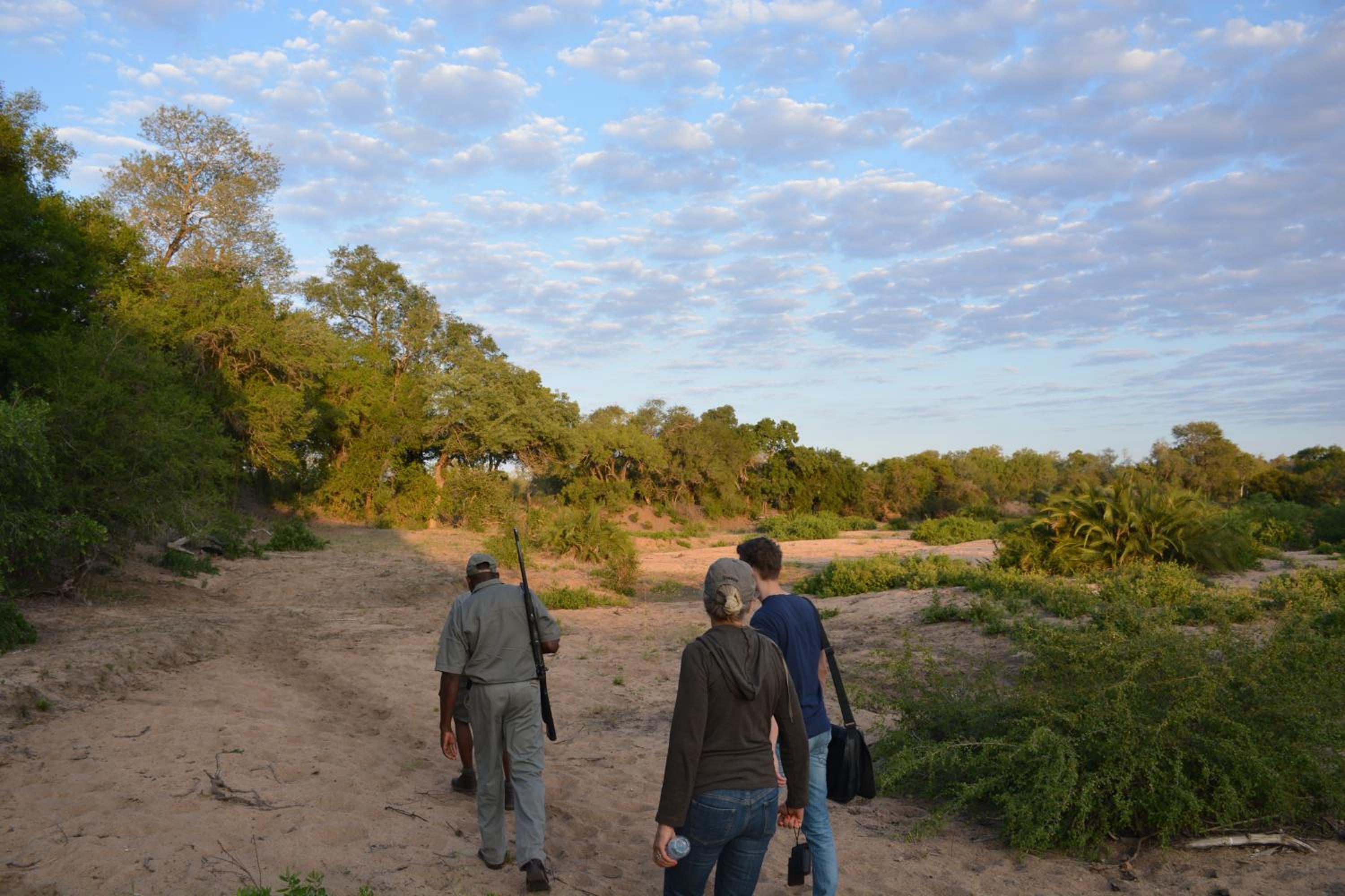 Rhino Walking Safaris