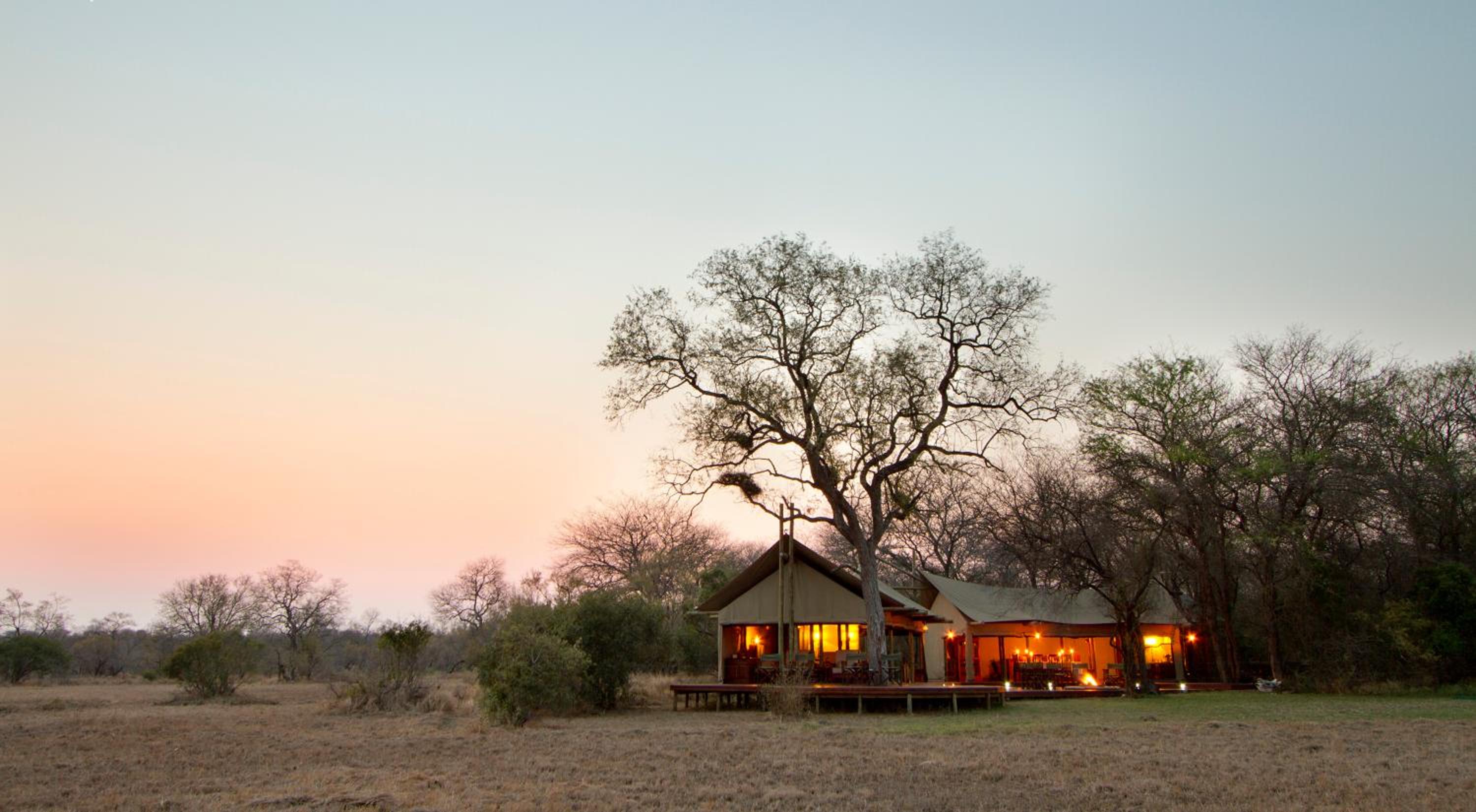 Rhino Walking Safaris