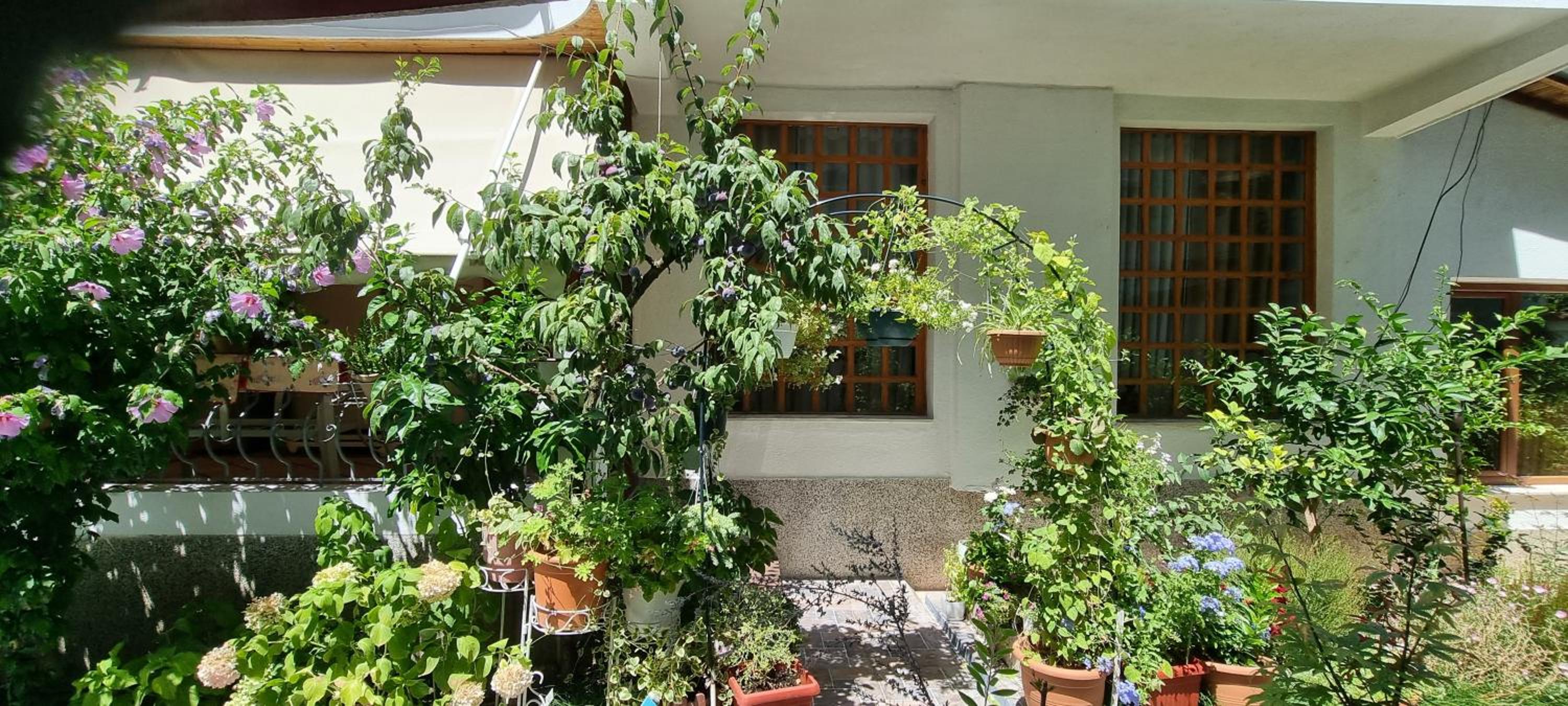Garden Guest House