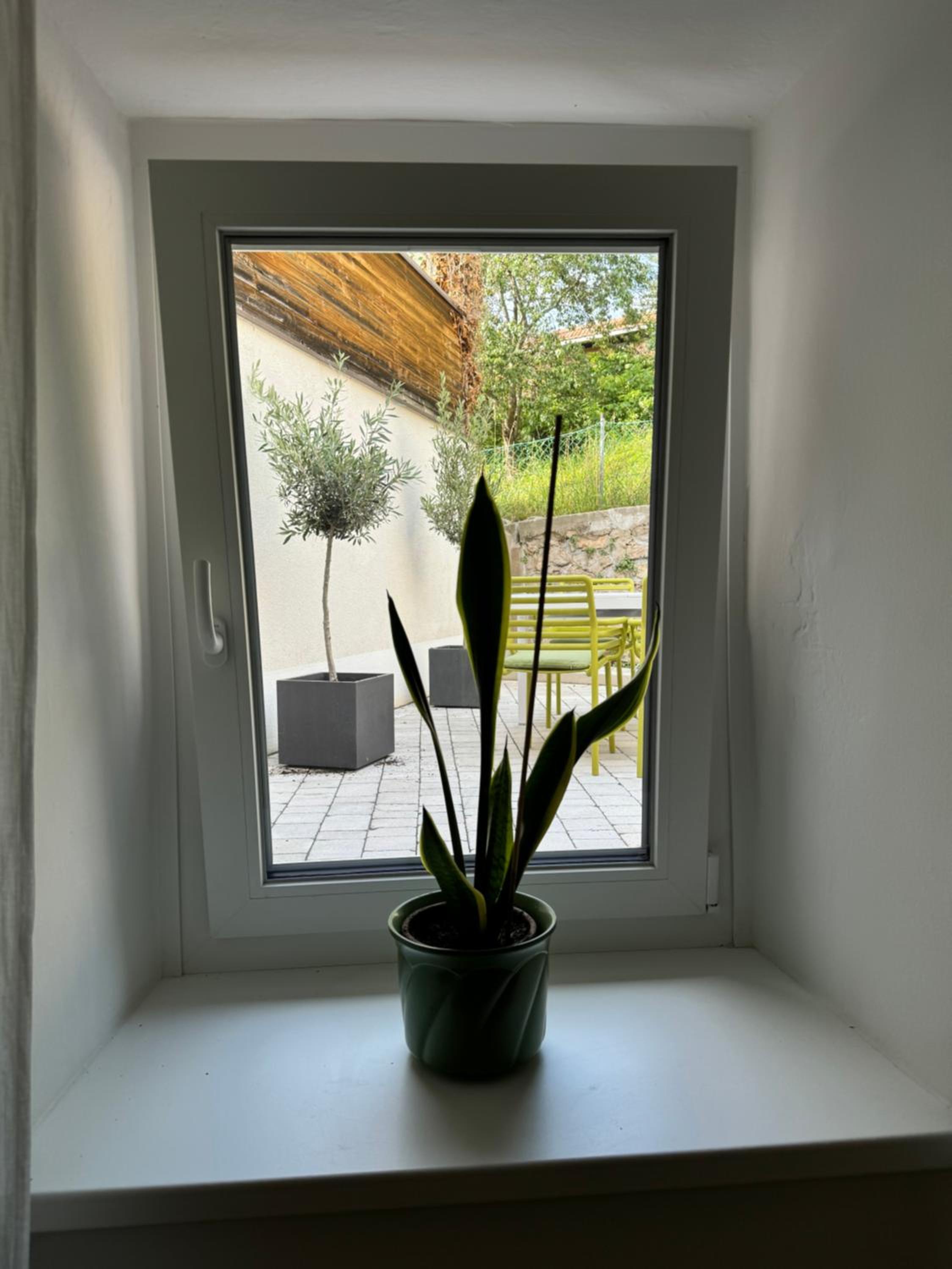 Dottore Casa