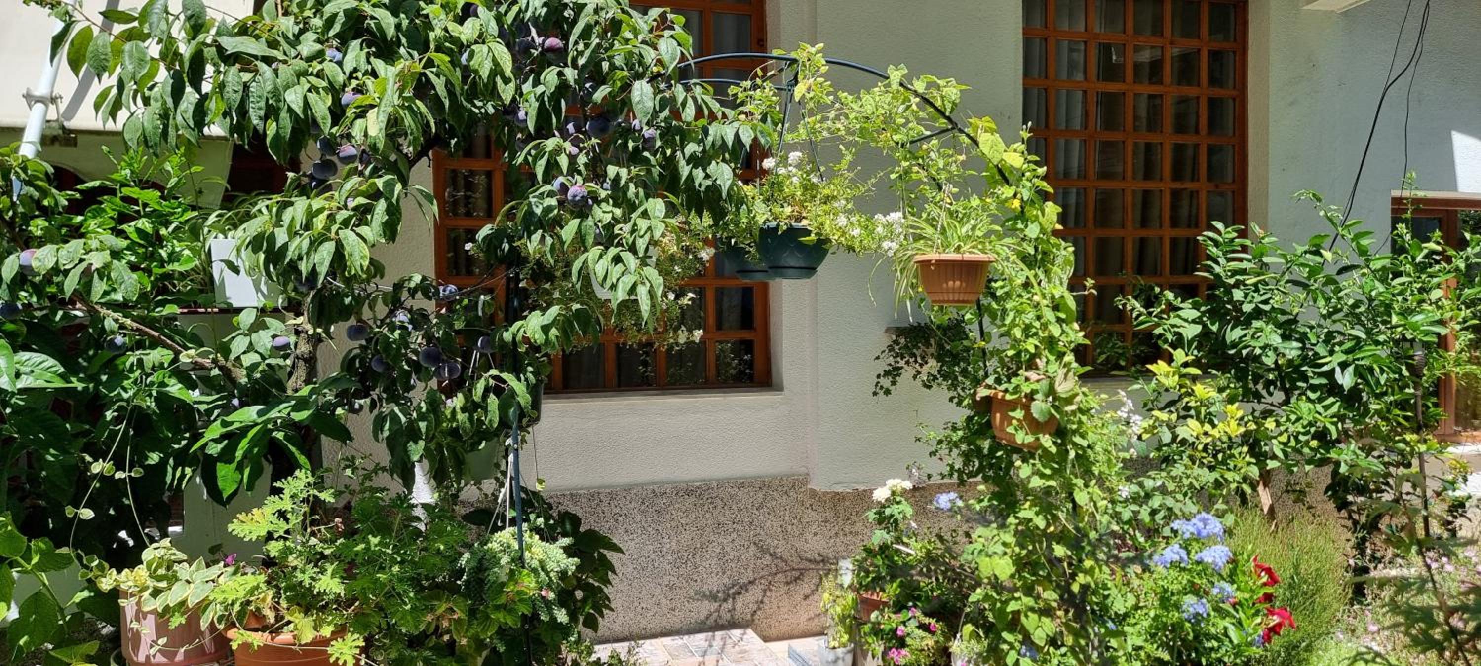 Garden Guest House