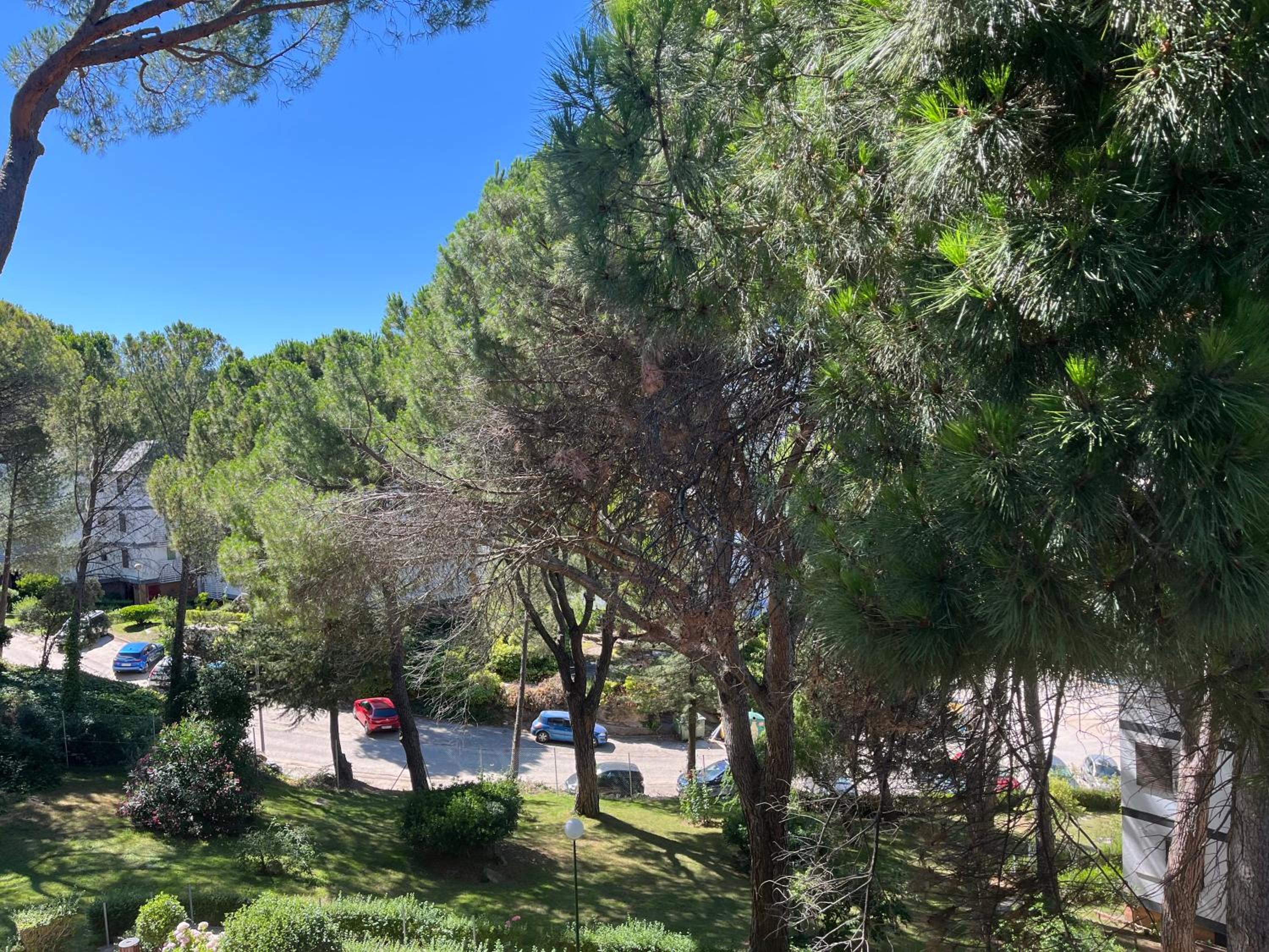 Estudio Pantano San Juan