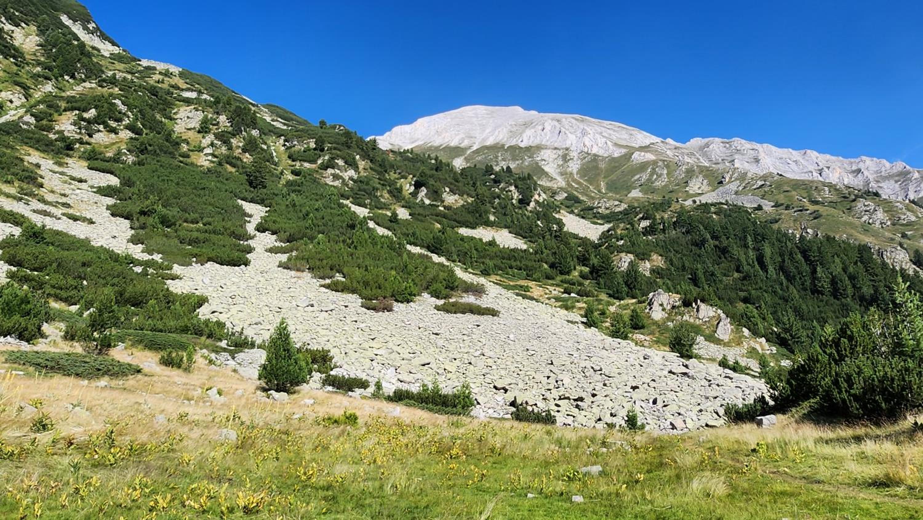 Apartmanica Double room apartment with balcony 101-30 St Ivan Rilski SPA Resort Bansko